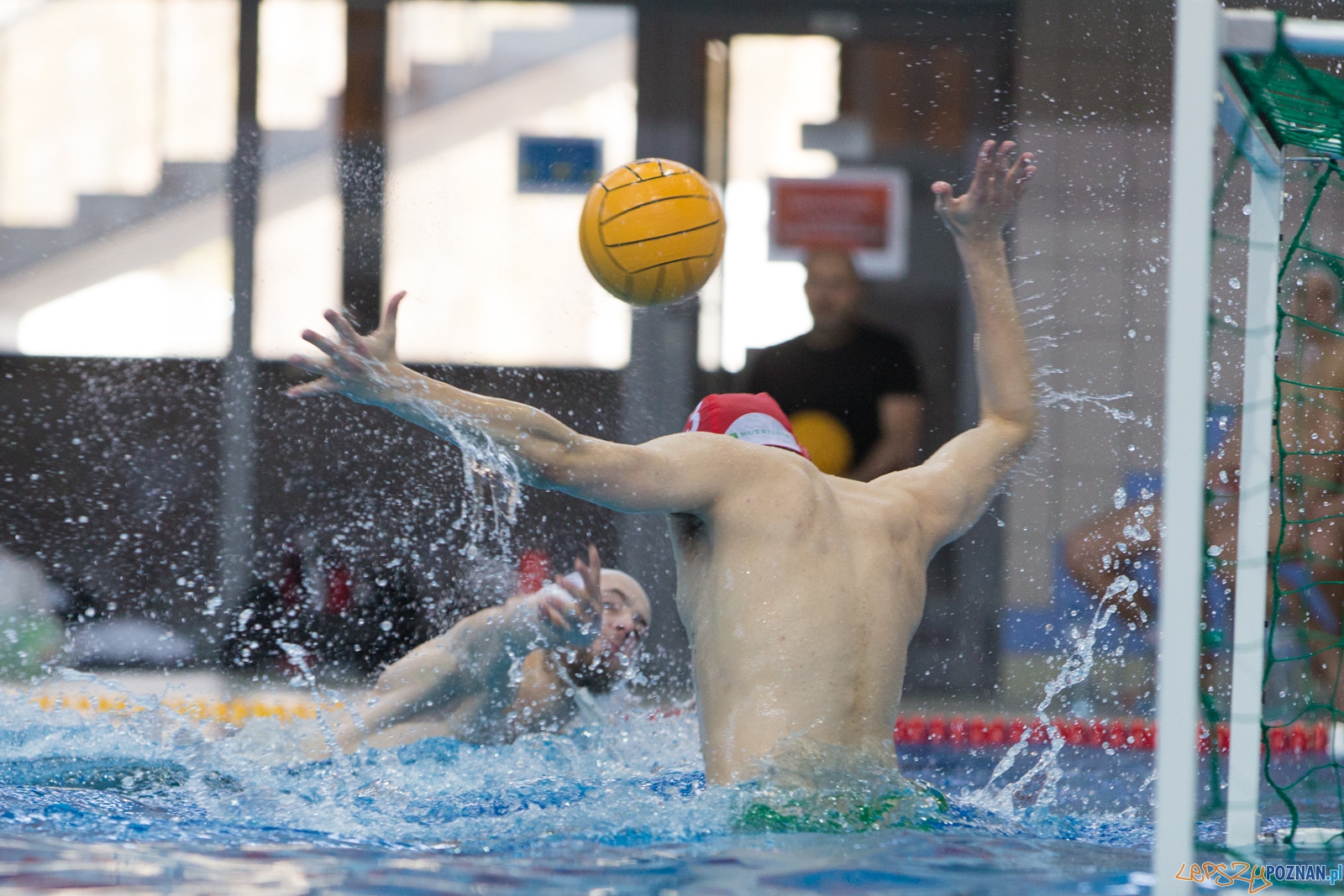 KS Waterpolo Poznań - Legia Warszawa Foto: lepszyPOZNAN.pl / Piotr Rychter KS Waterpolo Poznań - Legia Warszawa Foto: lepszyPOZNAN.pl / Piotr Rychter