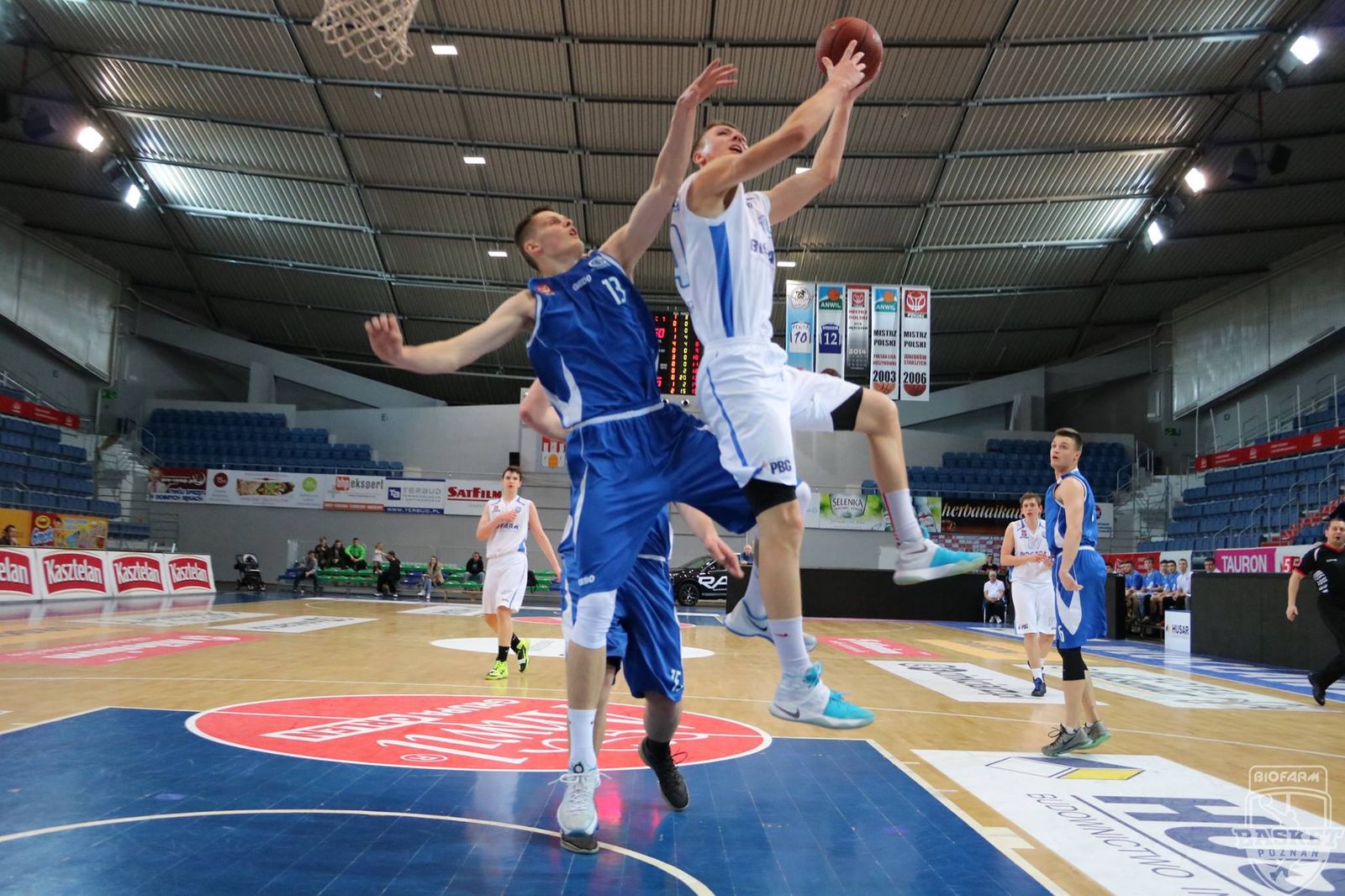 Biofarm Basket Junior (5) Foto: Biofarm Basket Junior (5) Foto: