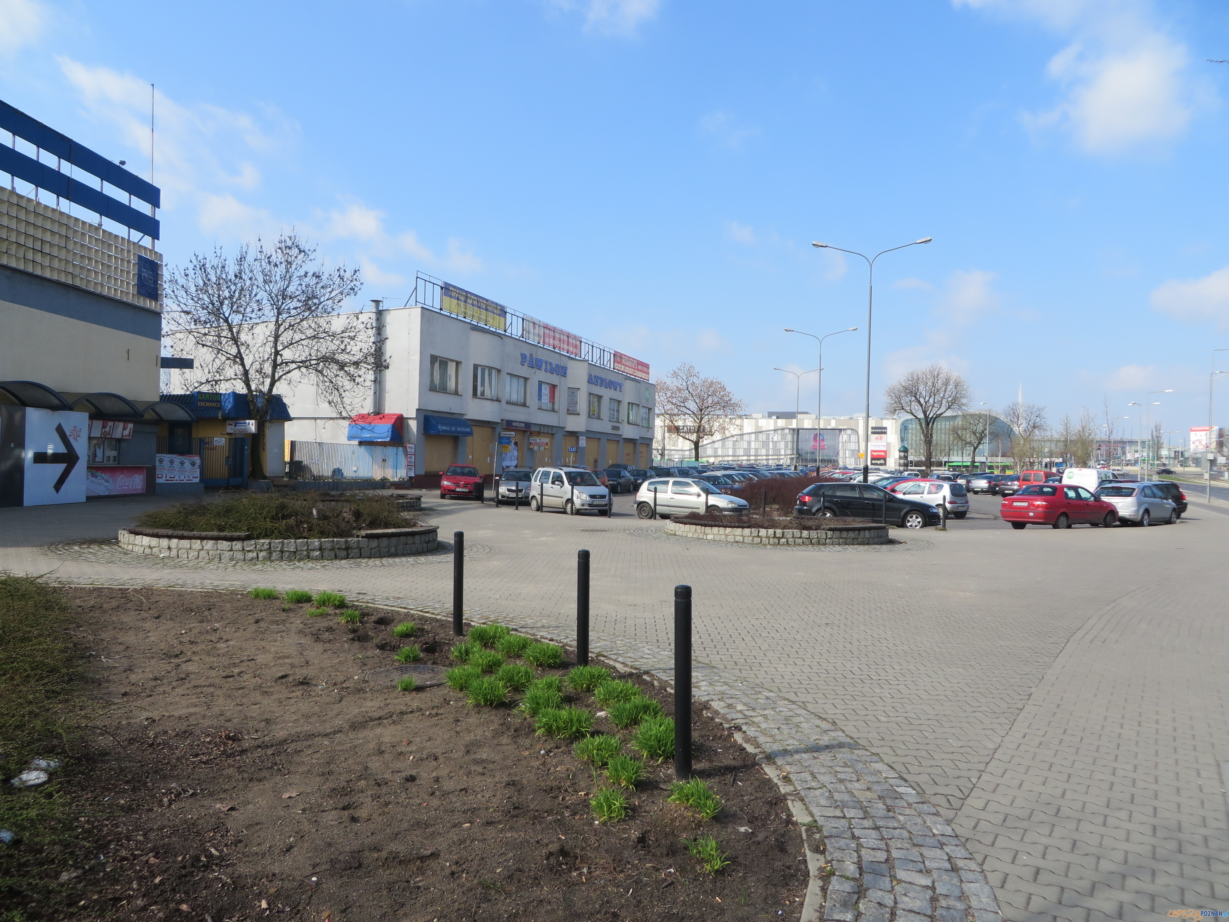 Matyi  Foto: UM Poznania