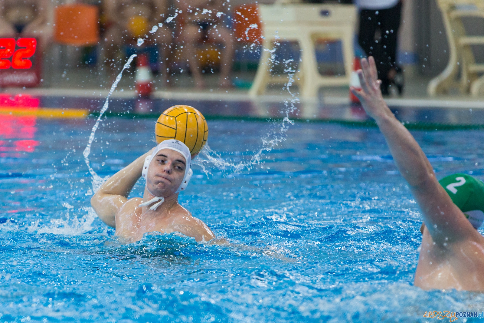 KS Waterpolo Poznań - Legia Warszawa Foto: lepszyPOZNAN.pl / Piotr Rychter KS Waterpolo Poznań - Legia Warszawa Foto: lepszyPOZNAN.pl / Piotr Rychter