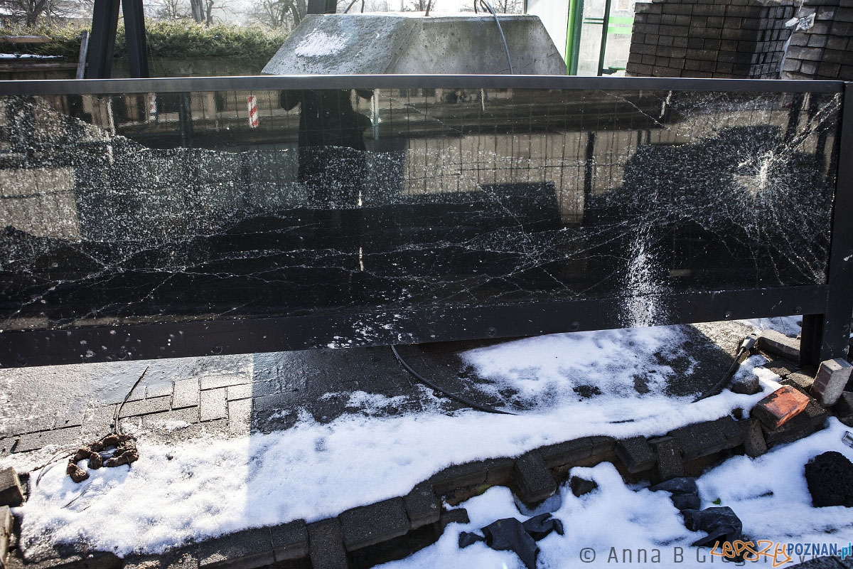 Lustra - instalacja autorstwa prof. Berdyszaka Foto: Anna B. Gregorczyk / Rada Osiedla Stare Miasto Lustra - instalacja autorstwa prof. Berdyszaka Foto: Anna B. Gregorczyk / Rada Osiedla Stare Miasto