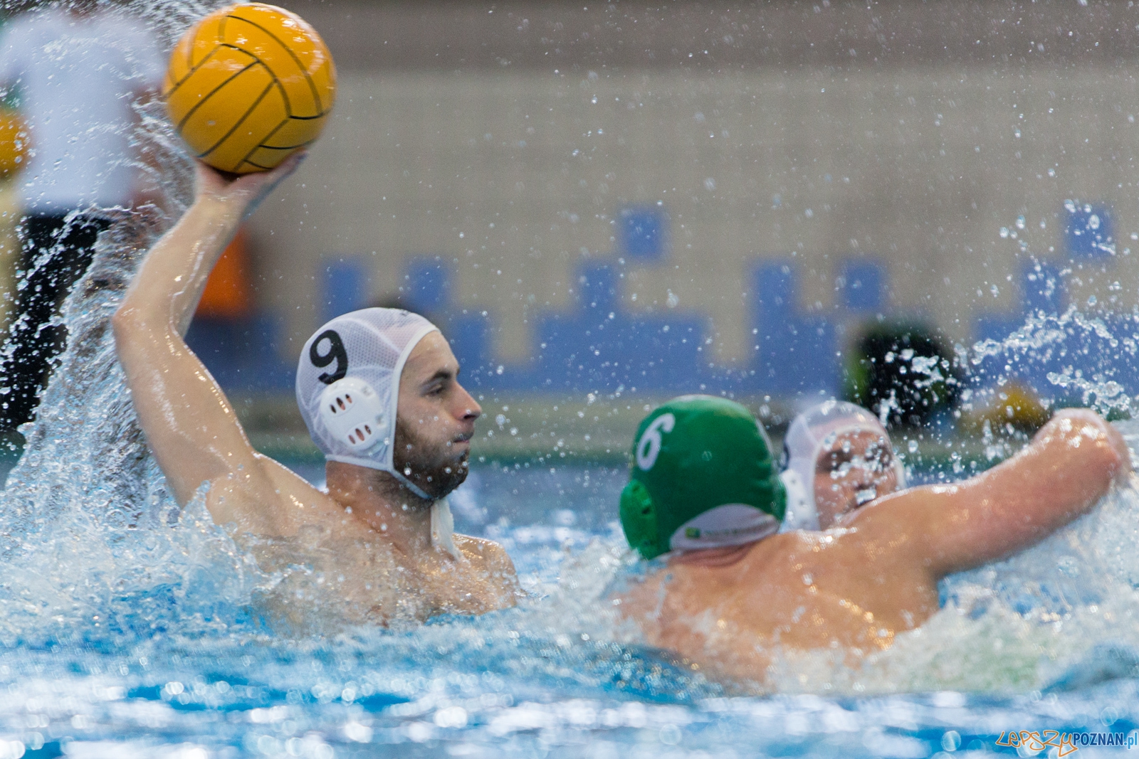 KS Waterpolo Poznań - Legia Warszawa Foto: lepszyPOZNAN.pl / Piotr Rychter KS Waterpolo Poznań - Legia Warszawa Foto: lepszyPOZNAN.pl / Piotr Rychter