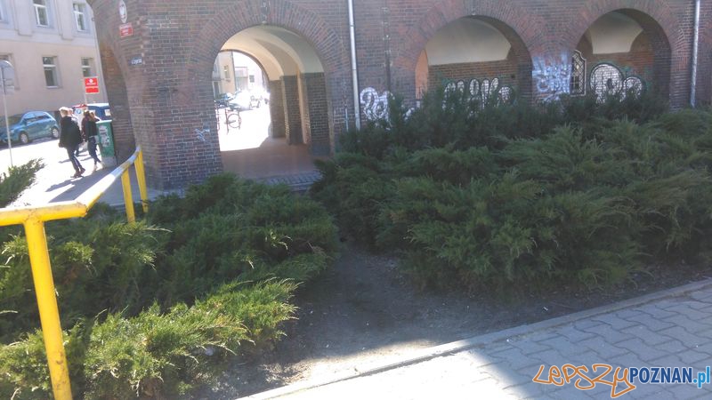 Wydeptana intuicyjna sciezka do szkoly Foto: Wydeptana intuicyjna sciezka do szkoly Foto: