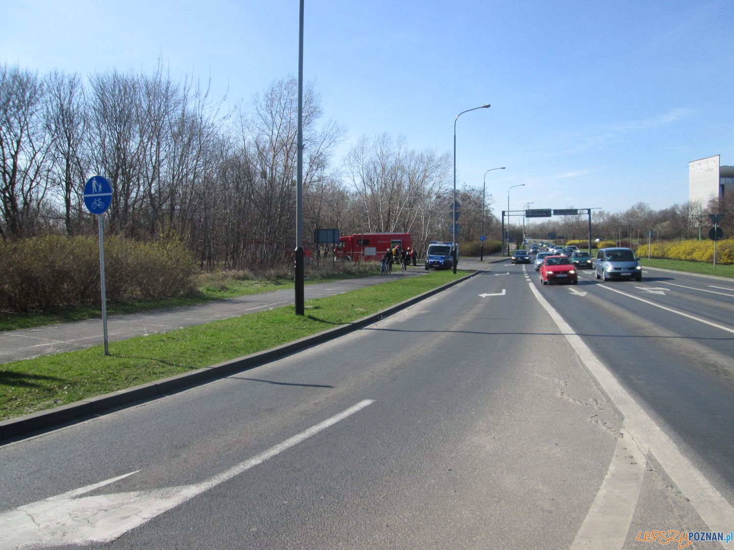 Zatrucie Warty na Starołęce (8) Foto: Nishio Zatrucie Warty na Starołęce (8) Foto: Nishio
