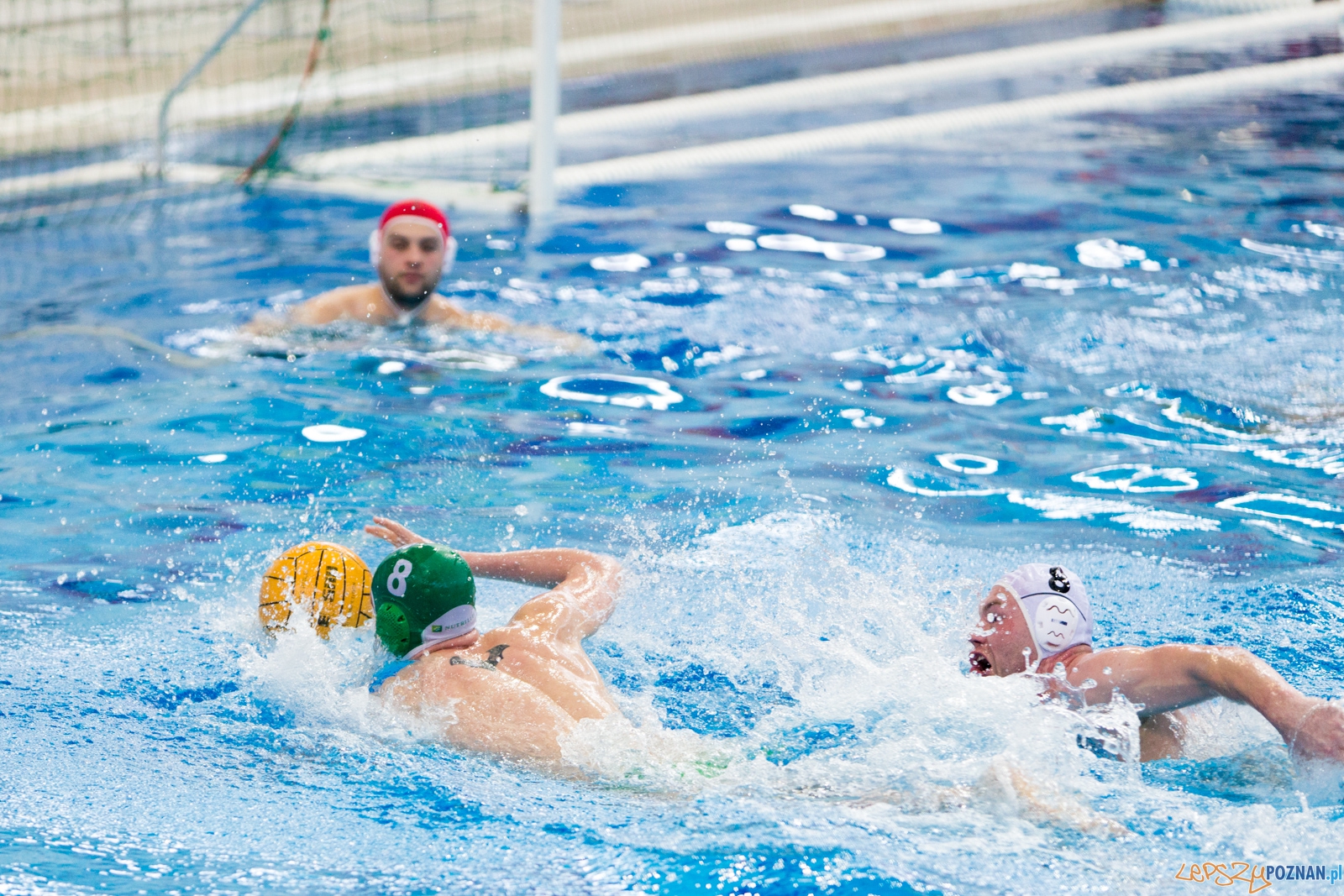 KS Waterpolo Poznań - Legia Warszawa Foto: lepszyPOZNAN.pl / Piotr Rychter KS Waterpolo Poznań - Legia Warszawa Foto: lepszyPOZNAN.pl / Piotr Rychter