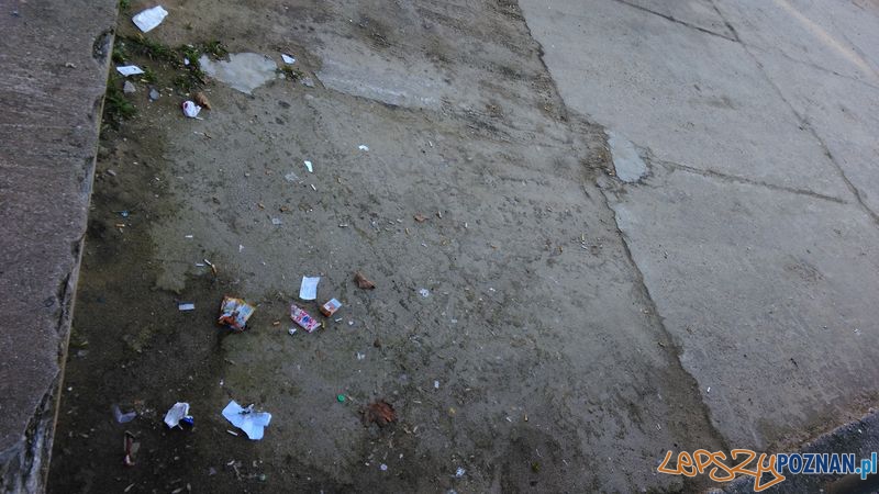 Ba艂agan na parkingu Foto: Ba艂agan na parkingu Foto: