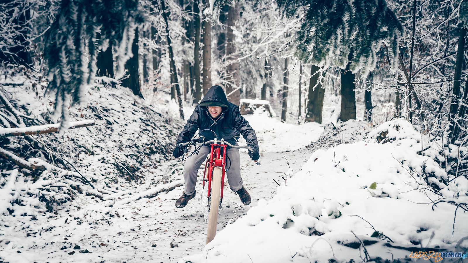 Kosynier test w Bieszczadach Foto: materiały prasowe Kosynier test w Bieszczadach Foto: materiały prasowe