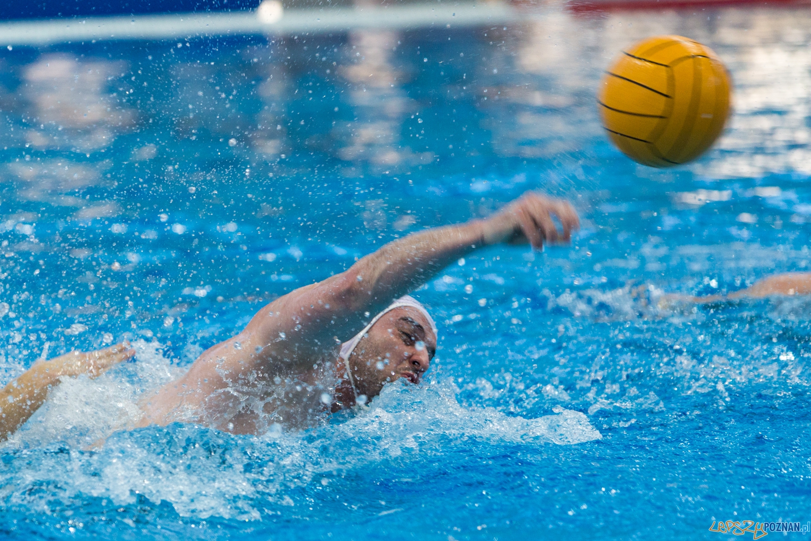 KS Waterpolo Poznań - Legia Warszawa Foto: lepszyPOZNAN.pl / Piotr Rychter KS Waterpolo Poznań - Legia Warszawa Foto: lepszyPOZNAN.pl / Piotr Rychter
