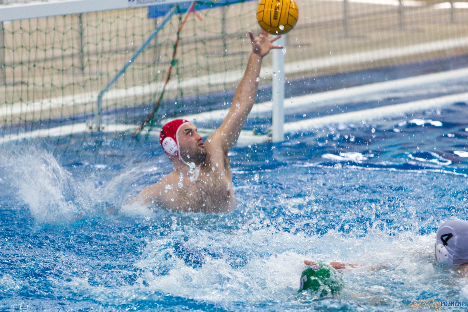 KS Waterpolo Poznań - Legia Warszawa Foto: lepszyPOZNAN.pl / Piotr Rychter KS Waterpolo Poznań - Legia Warszawa Foto: lepszyPOZNAN.pl / Piotr Rychter