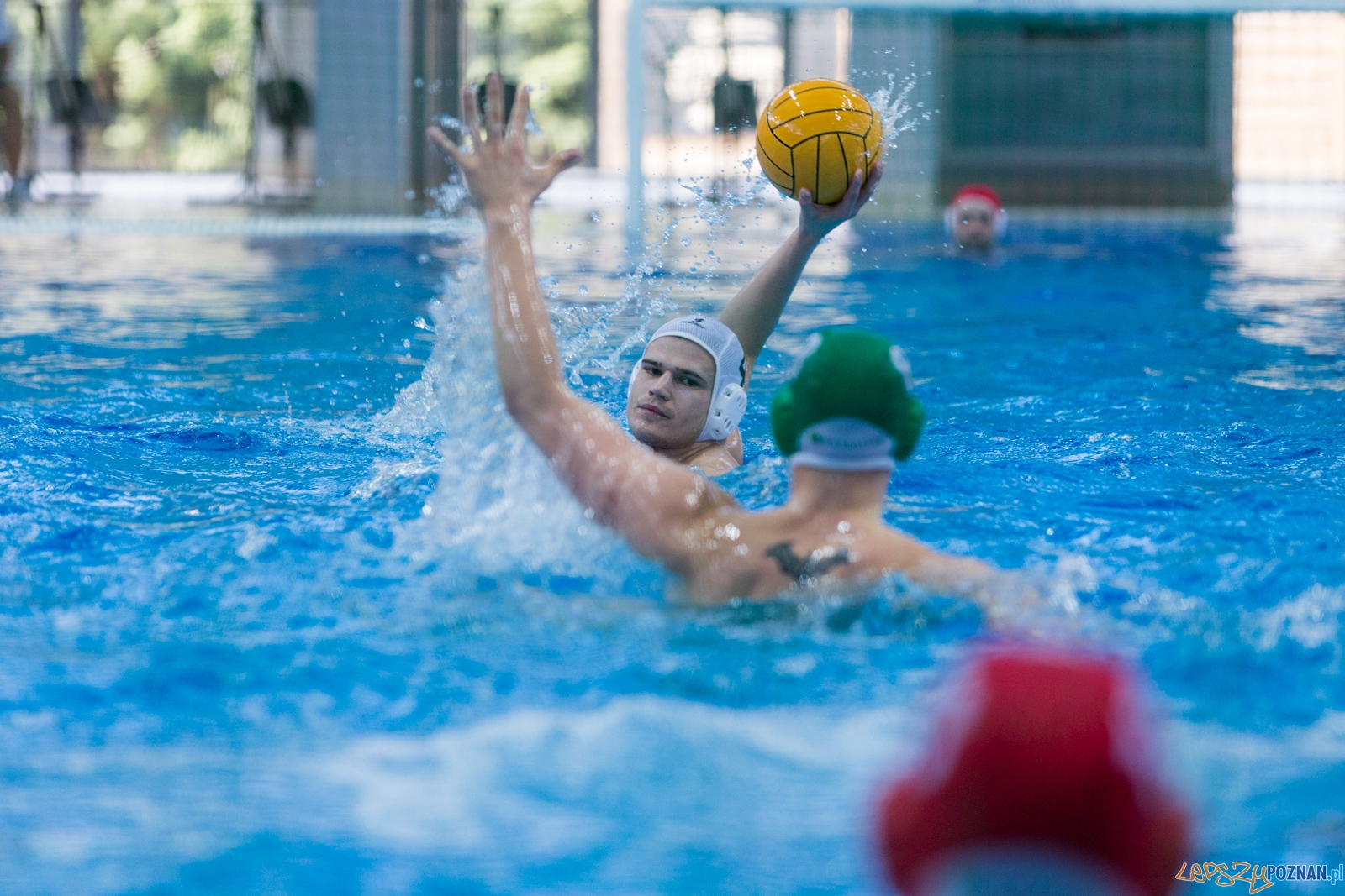 KS Waterpolo Poznań - Legia Warszawa Foto: lepszyPOZNAN.pl / Piotr Rychter KS Waterpolo Poznań - Legia Warszawa Foto: lepszyPOZNAN.pl / Piotr Rychter