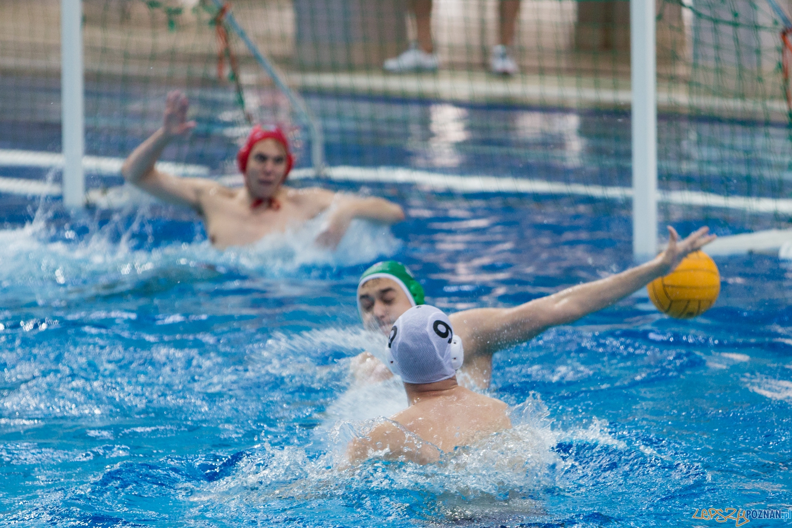 KS Waterpolo Poznań - Legia Warszawa Foto: lepszyPOZNAN.pl / Piotr Rychter KS Waterpolo Poznań - Legia Warszawa Foto: lepszyPOZNAN.pl / Piotr Rychter
