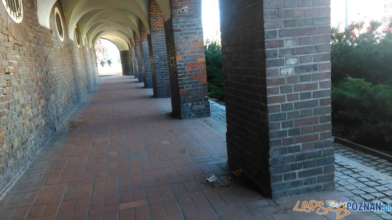 Toaleta przy szkole Foto: Toaleta przy szkole Foto: