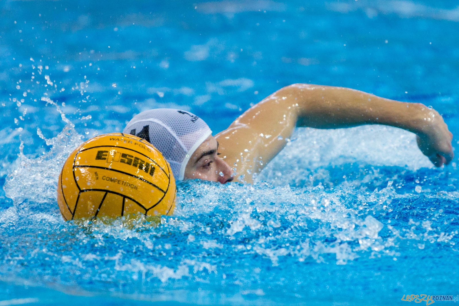 KS Waterpolo Poznań - Legia Warszawa Foto: lepszyPOZNAN.pl / Piotr Rychter KS Waterpolo Poznań - Legia Warszawa Foto: lepszyPOZNAN.pl / Piotr Rychter