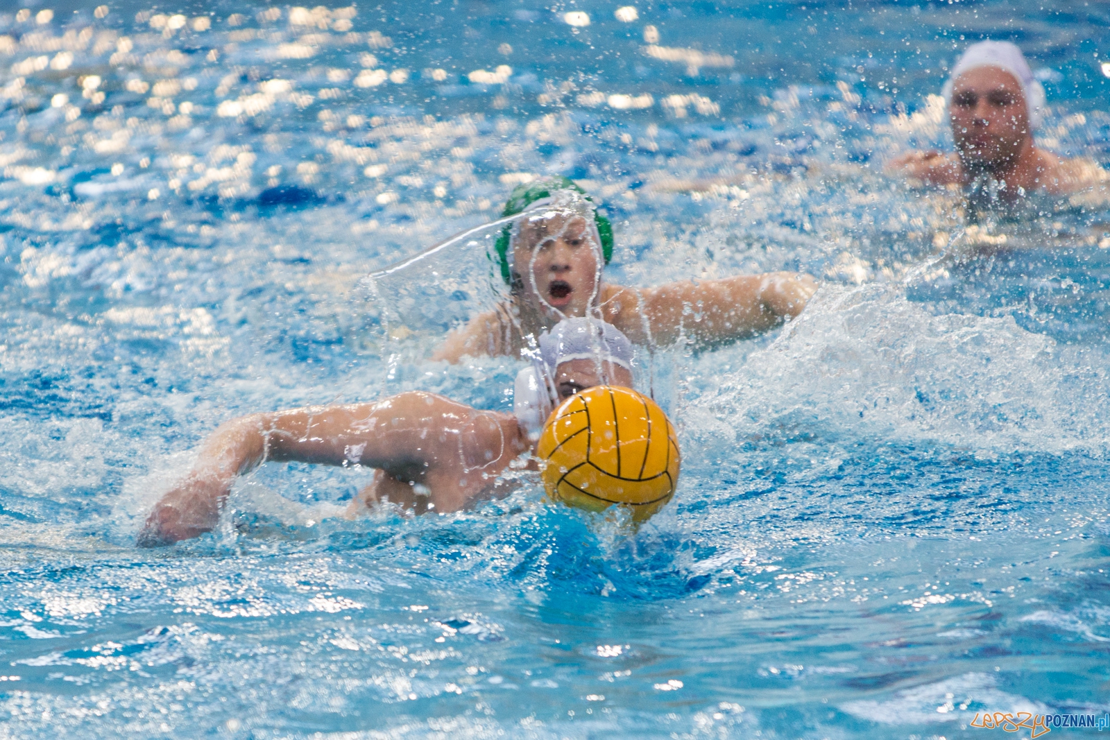 KS Waterpolo Poznań - Legia Warszawa Foto: lepszyPOZNAN.pl / Piotr Rychter KS Waterpolo Poznań - Legia Warszawa Foto: lepszyPOZNAN.pl / Piotr Rychter