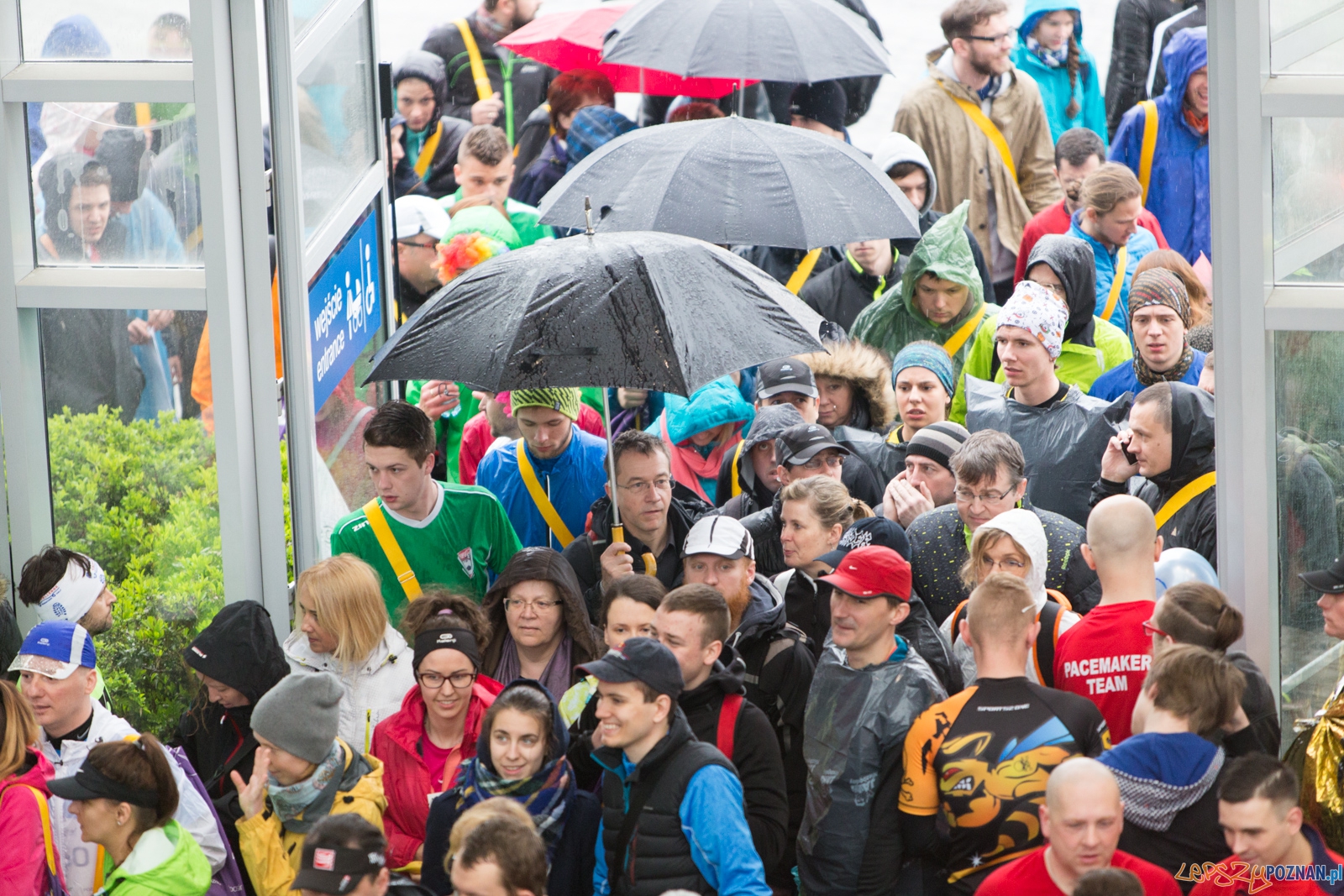 9. Poznań Półmaraton Foto: lepszyPOZNAN.pl / Piotr Rychter 9. Poznań Półmaraton Foto: lepszyPOZNAN.pl / Piotr Rychter
