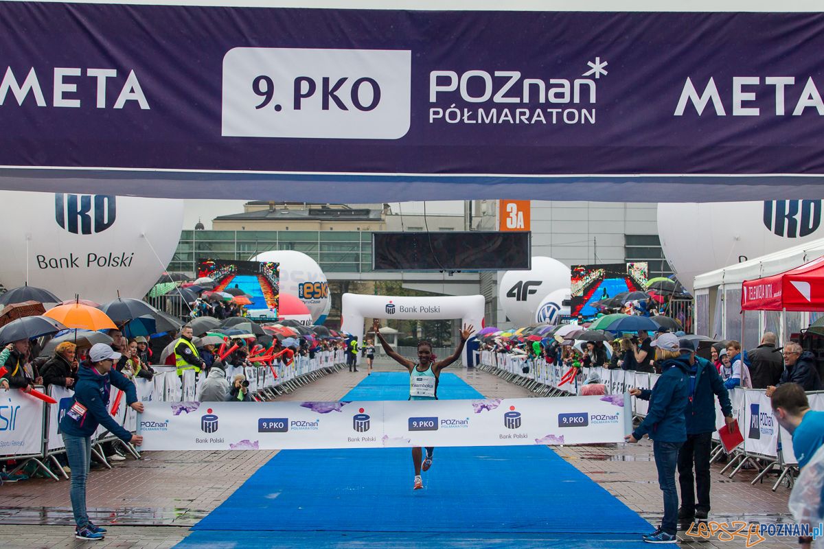 9. Poznański Półmaraton Foto: Przemysław Szyszka 9. Poznański Półmaraton Foto: Przemysław Szyszka