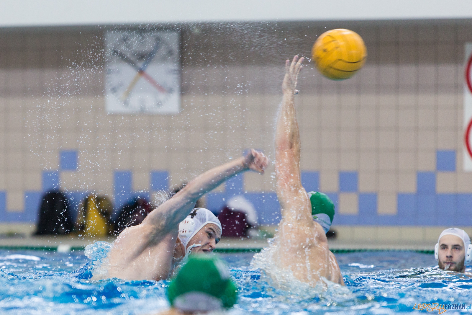 KS Waterpolo Poznań - Legia Warszawa Foto: lepszyPOZNAN.pl / Piotr Rychter KS Waterpolo Poznań - Legia Warszawa Foto: lepszyPOZNAN.pl / Piotr Rychter