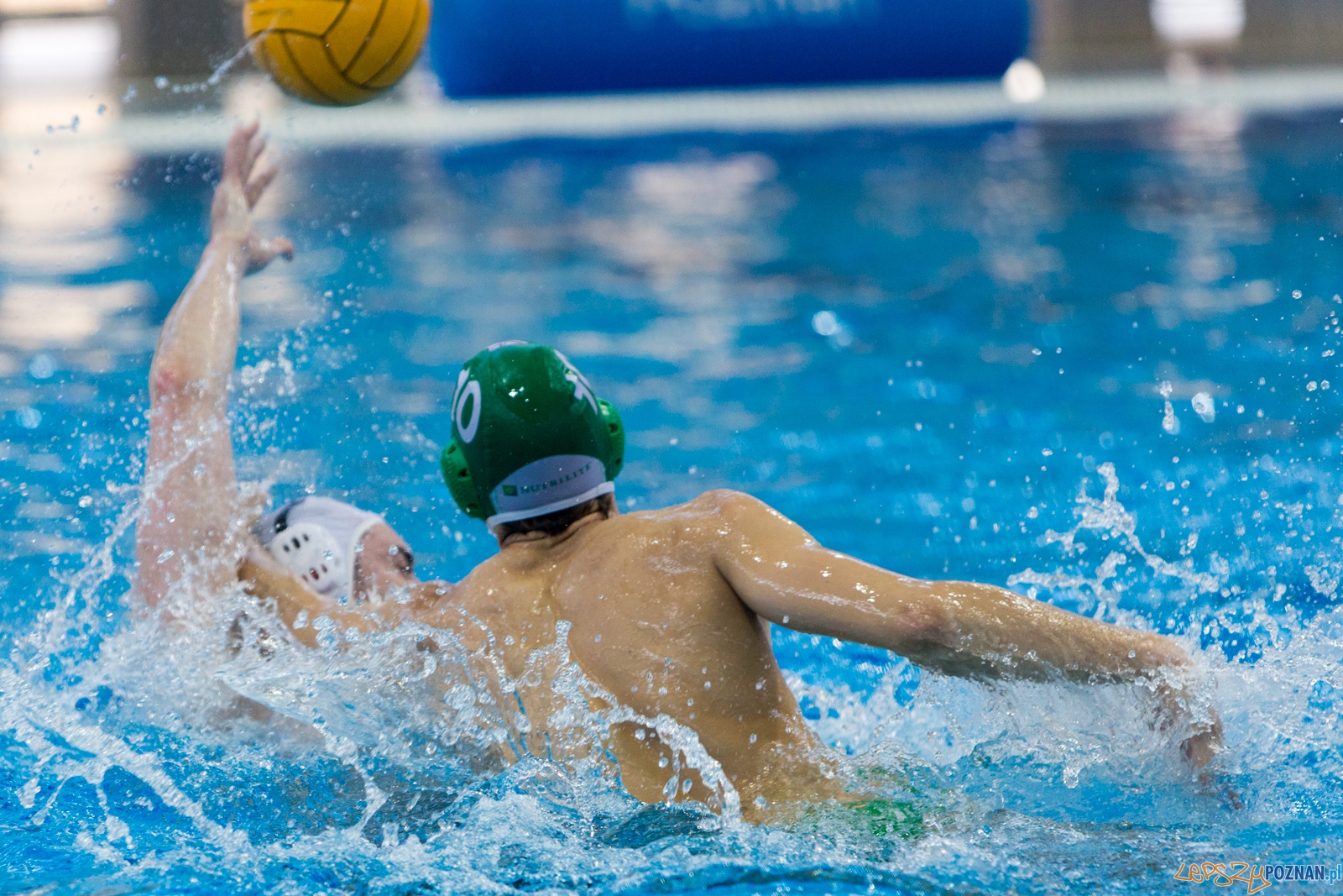 KS Waterpolo Poznań - Legia Warszawa Foto: lepszyPOZNAN.pl / Piotr Rychter KS Waterpolo Poznań - Legia Warszawa Foto: lepszyPOZNAN.pl / Piotr Rychter