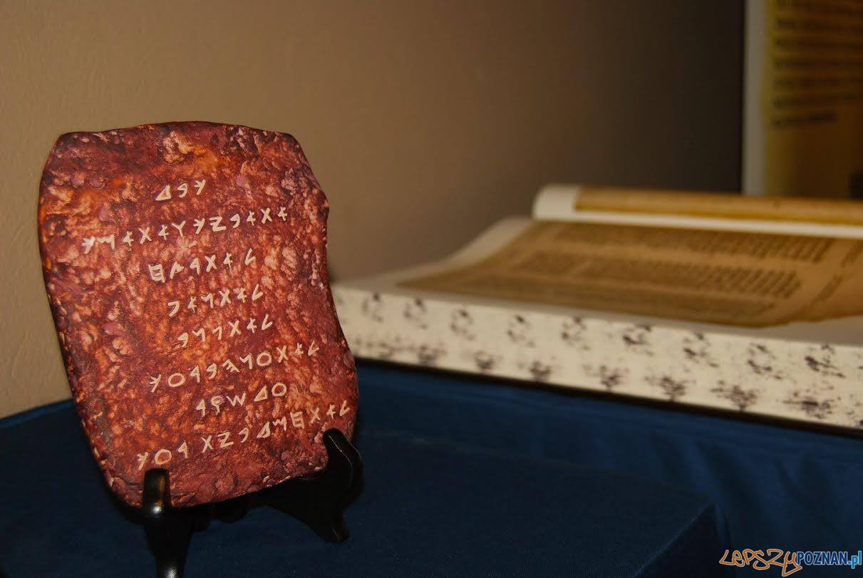 Wystawa Biblii (4) Foto: wystawabiblii.pl Wystawa Biblii (4) Foto: wystawabiblii.pl