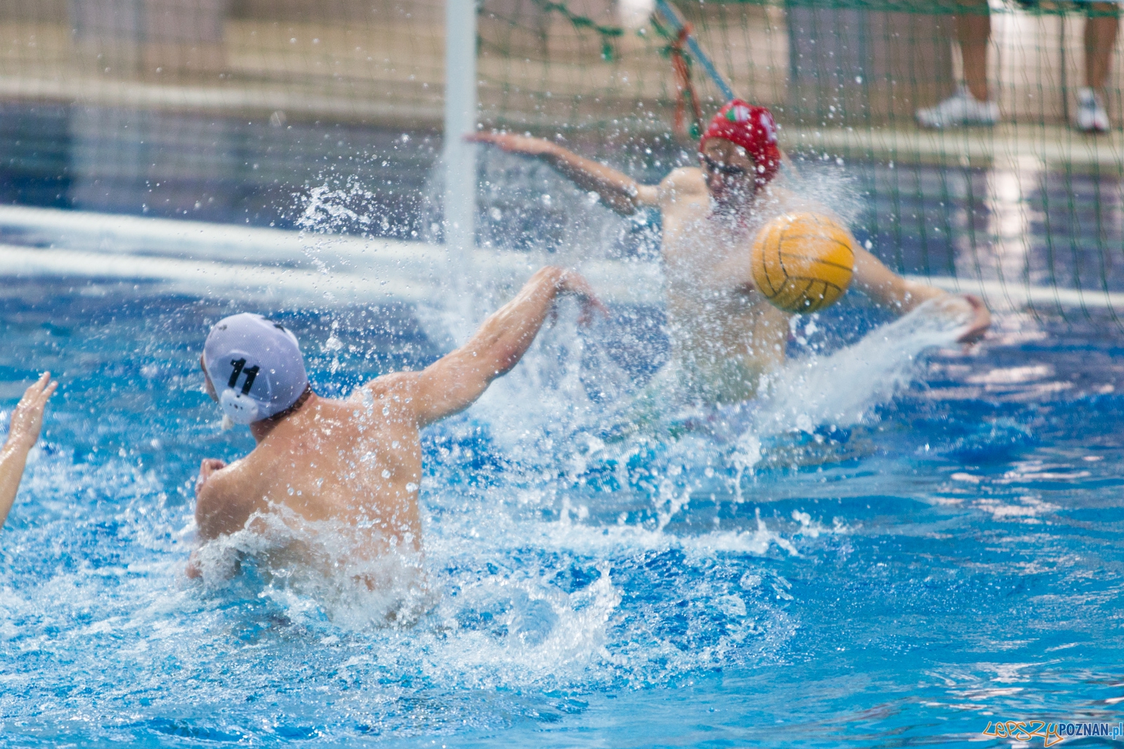 KS Waterpolo Poznań - Legia Warszawa Foto: lepszyPOZNAN.pl / Piotr Rychter KS Waterpolo Poznań - Legia Warszawa Foto: lepszyPOZNAN.pl / Piotr Rychter