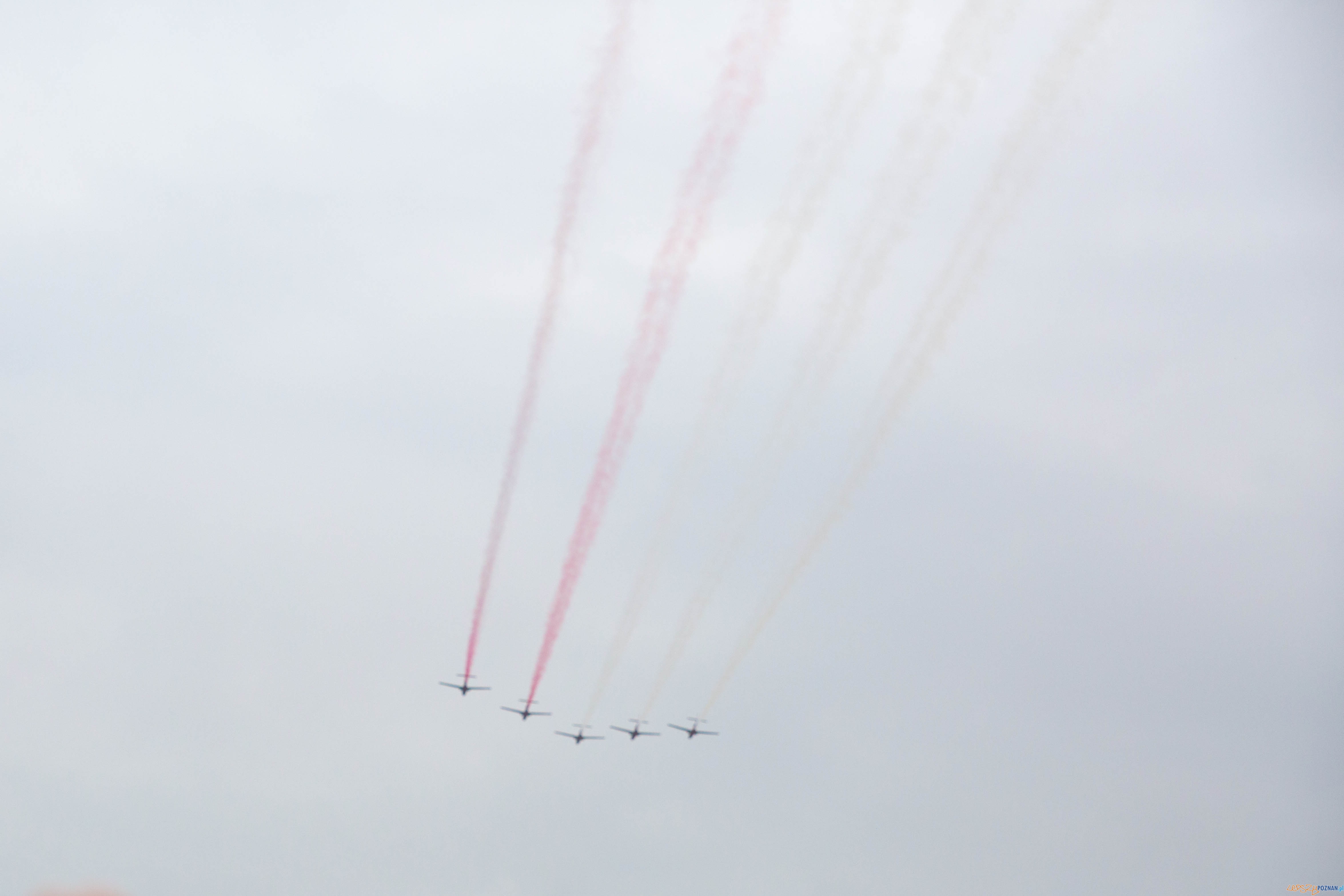 1050-lecie Chrztu Polski - uroczystości na Ostrowie Lednickim Foto: lepszyPOZNAN.pl / Katarzyna Stawecka 1050-lecie Chrztu Polski - uroczystości na Ostrowie Lednickim Foto: lepszyPOZNAN.pl / Katarzyna Stawecka