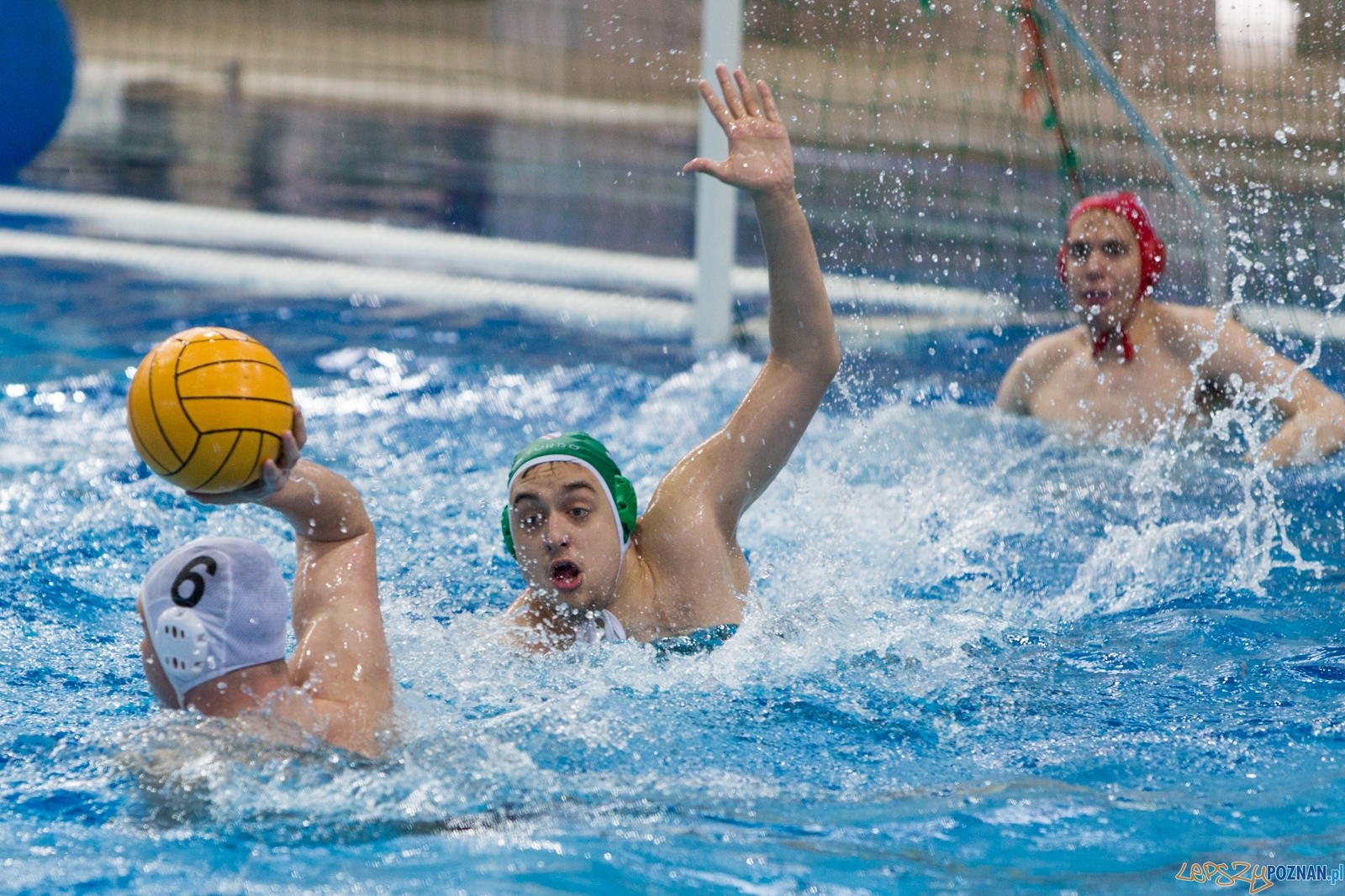 KS Waterpolo Poznań - Legia Warszawa Foto: lepszyPOZNAN.pl / Piotr Rychter KS Waterpolo Poznań - Legia Warszawa Foto: lepszyPOZNAN.pl / Piotr Rychter