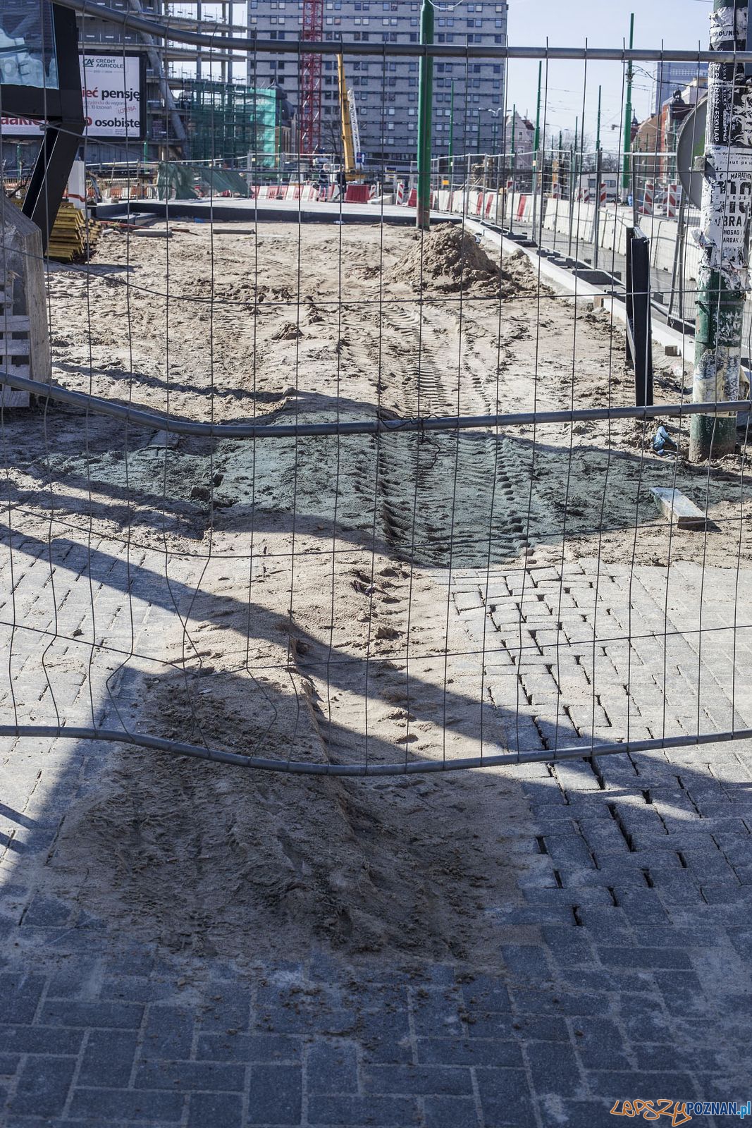 Lustra - instalacja autorstwa prof. Berdyszaka Foto: Rada Osiedla Stare Miasto Lustra - instalacja autorstwa prof. Berdyszaka Foto: Rada Osiedla Stare Miasto