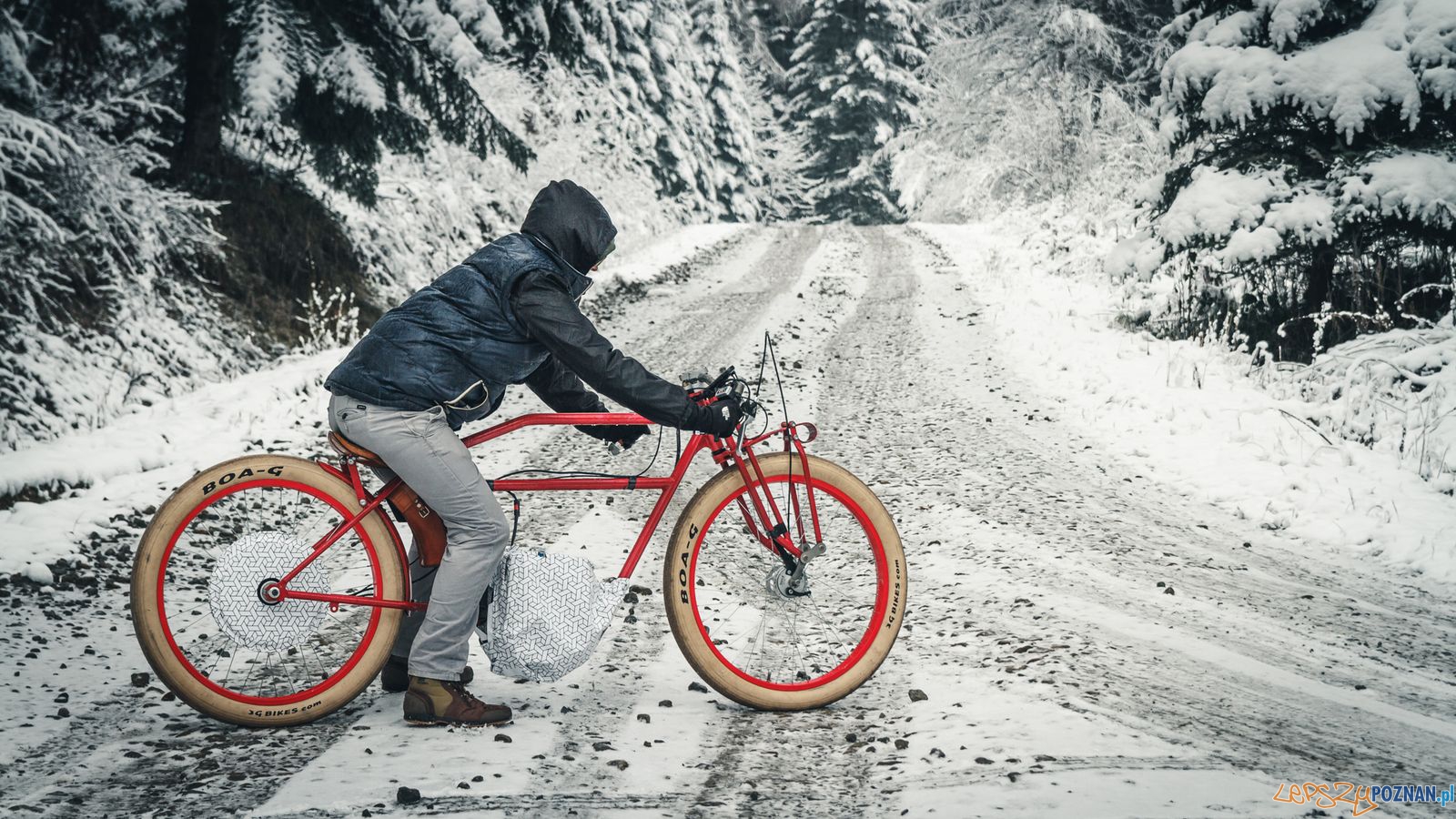 Kosynier test w Bieszczadach Foto: materiały prasowe Kosynier test w Bieszczadach Foto: materiały prasowe