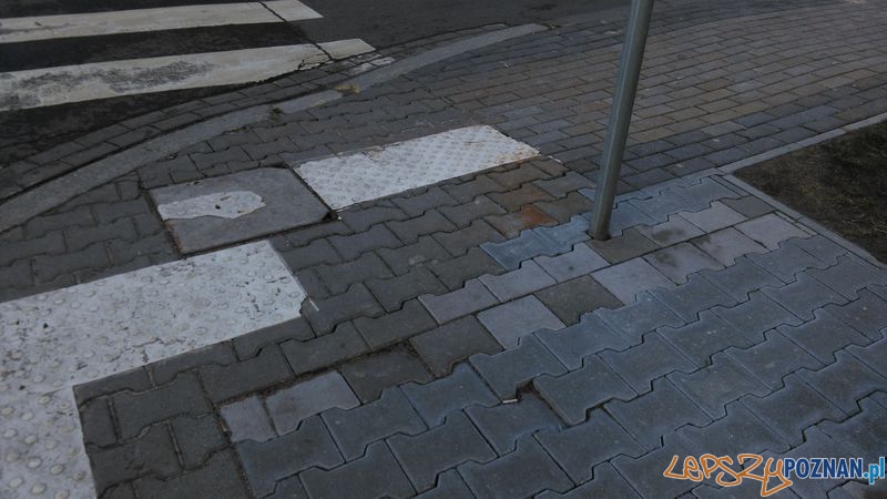 Partactwo 3 Foto: Partactwo 3 Foto: