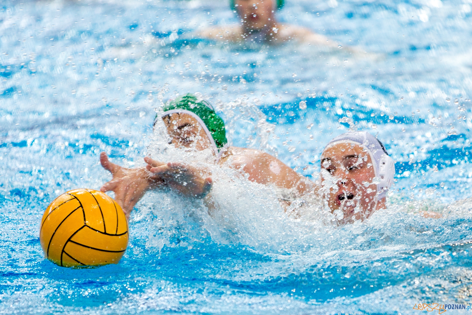 KS Waterpolo Poznań - Legia Warszawa Foto: lepszyPOZNAN.pl / Piotr Rychter KS Waterpolo Poznań - Legia Warszawa Foto: lepszyPOZNAN.pl / Piotr Rychter