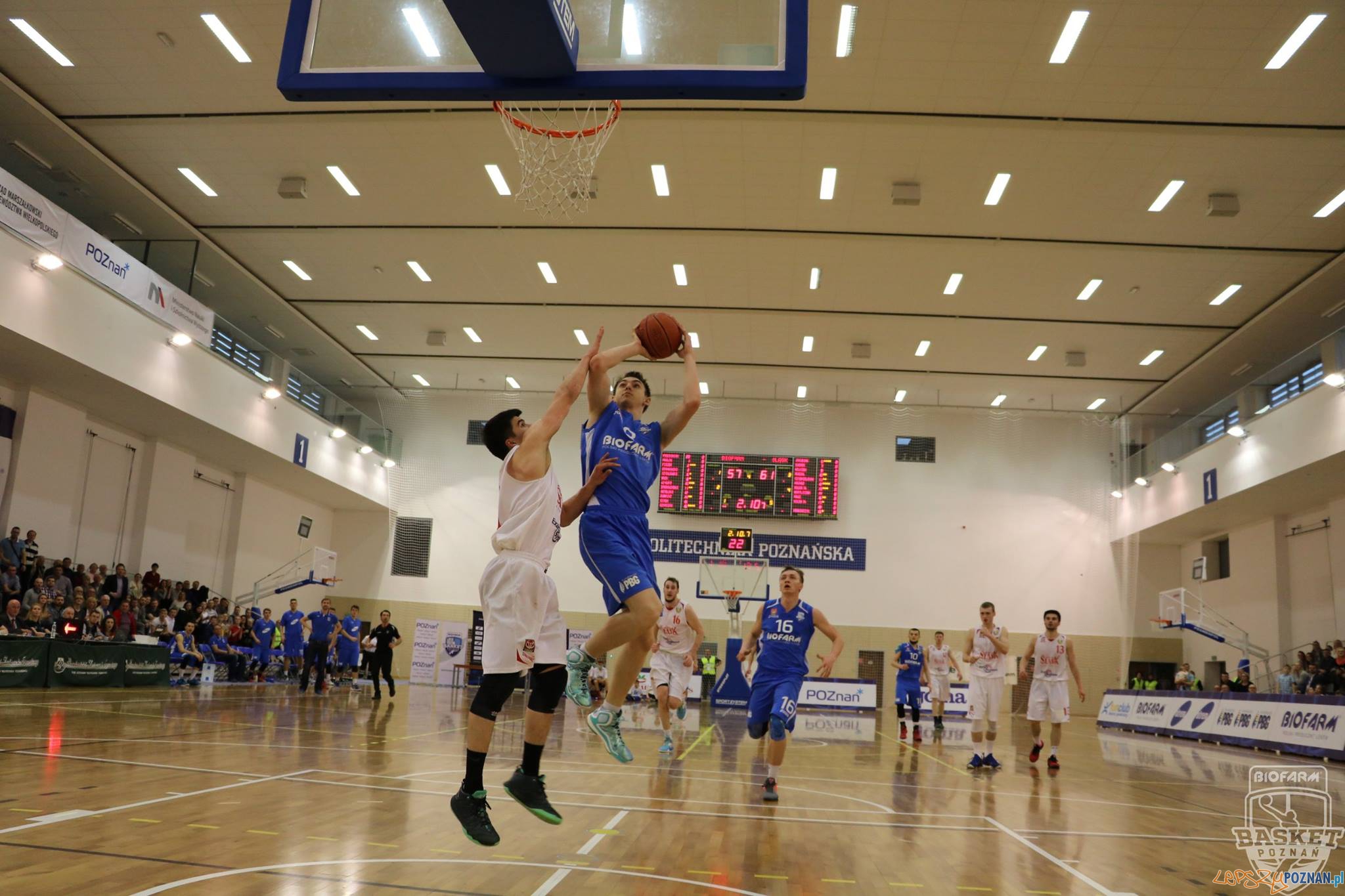Biofarm Basket vs Śląsk Wrocław (4) Foto: materiały prasowe Biofarm Basket vs Śląsk Wrocław (4) Foto: materiały prasowe