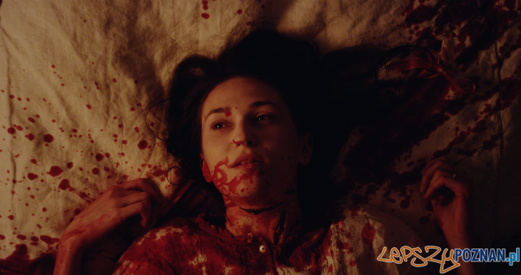 THE CANAL Foto: mat. prasowe THE CANAL Foto: mat. prasowe