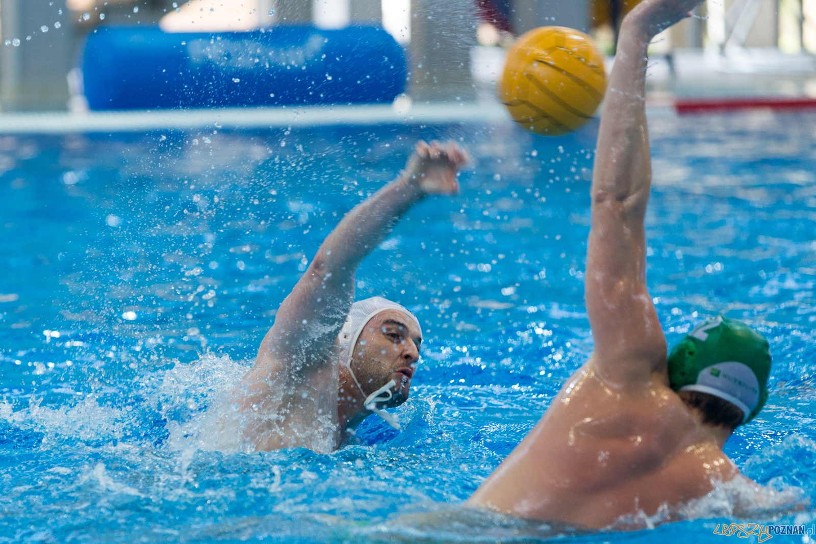 KS Waterpolo Poznań - Legia Warszawa Foto: lepszyPOZNAN.pl / Piotr Rychter KS Waterpolo Poznań - Legia Warszawa Foto: lepszyPOZNAN.pl / Piotr Rychter