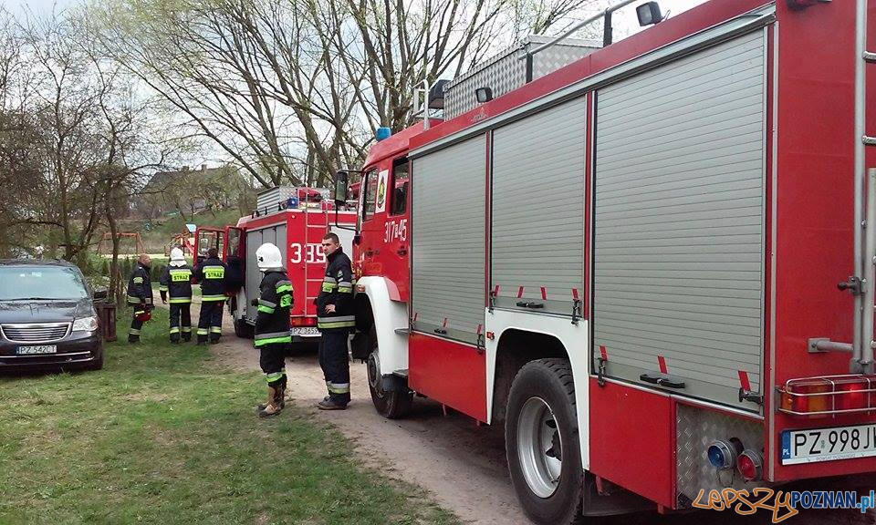 Na ratunek sarnie Foto: OSP Białężyn Na ratunek sarnie Foto: OSP Białężyn