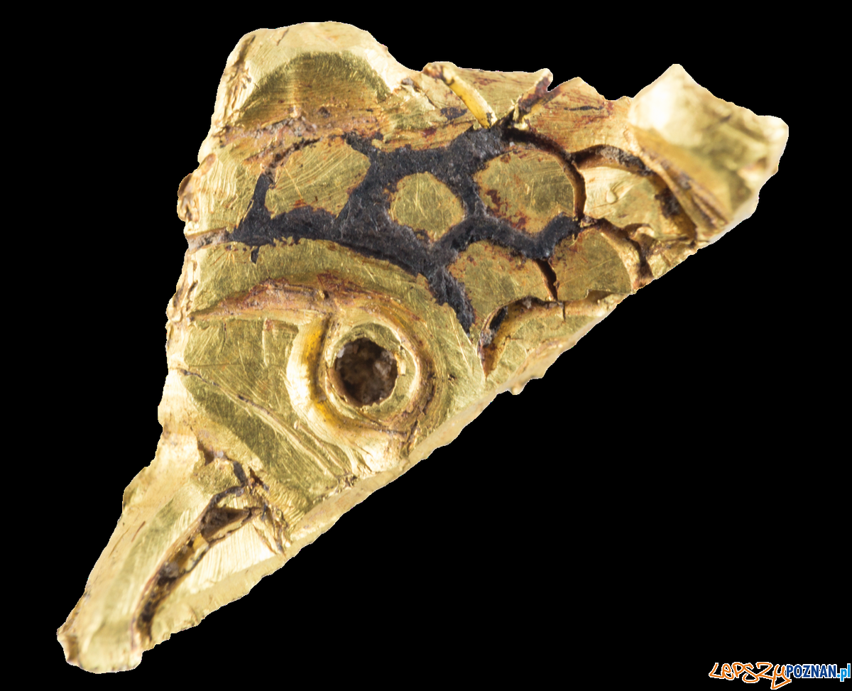 Złota ozdoba w kształcie ryby, 2 poł. X – 1 poł XI w. Palatium poznańskie Foto: P. Silska / Muzeum Archeologiczne Złota ozdoba w kształcie ryby, 2 poł. X – 1 poł XI w. Palatium poznańskie Foto: P. Silska / Muzeum Archeologiczne