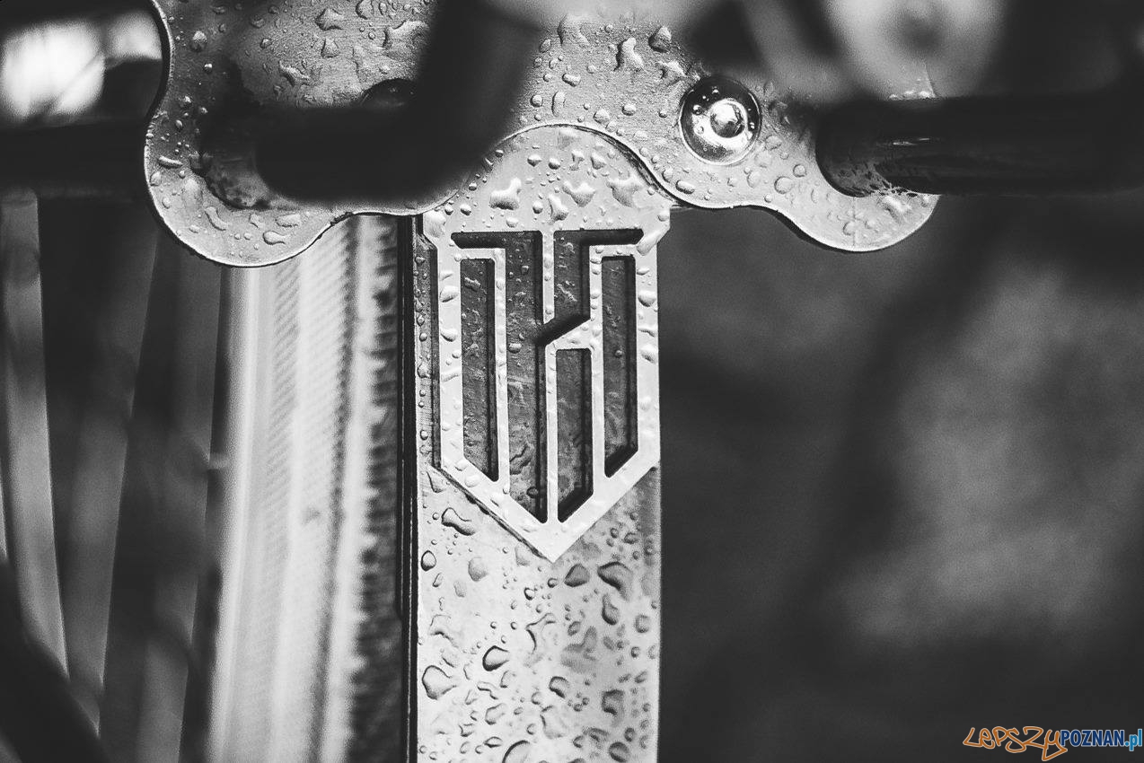 Logo Kosyniera Foto: materiały prasowe Logo Kosyniera Foto: materiały prasowe