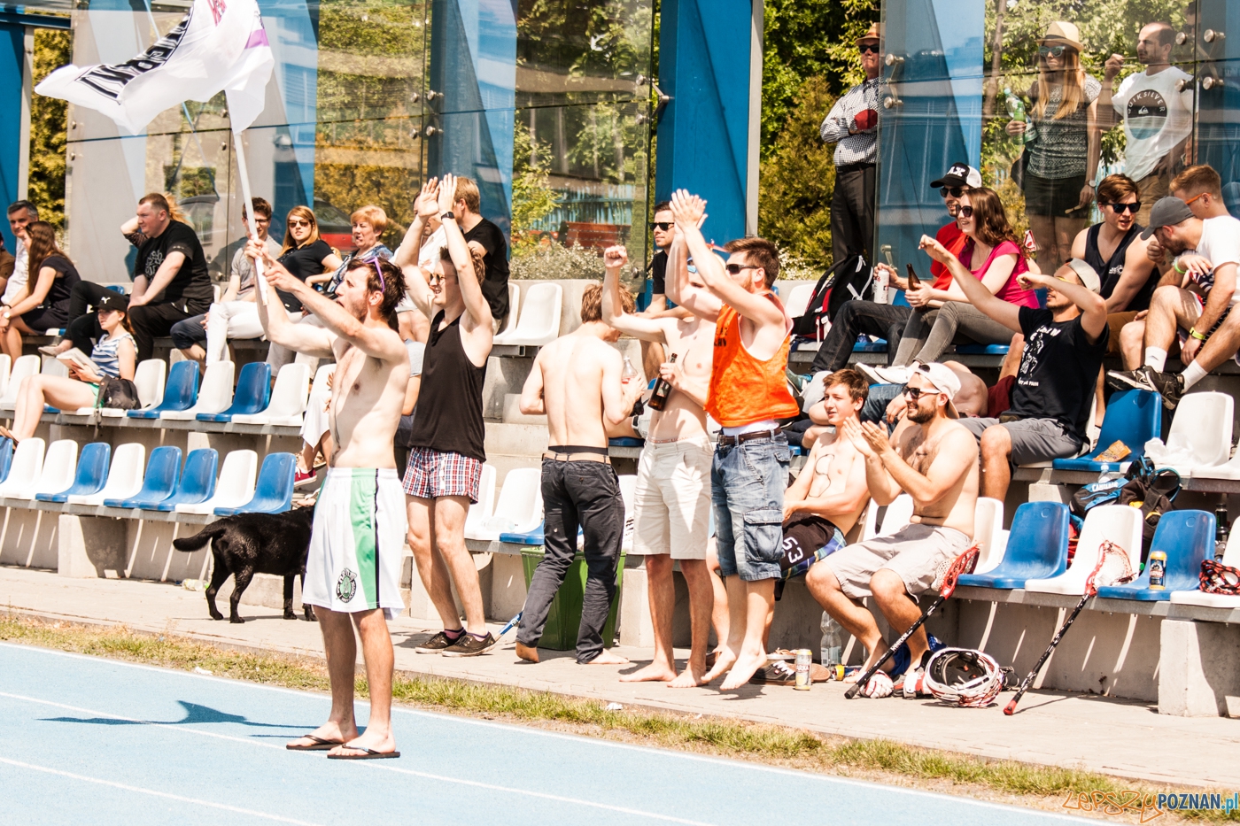 Mistrzostwa Polski w lacross - Poznań Hussars Ladies - Kosynier Foto: © lepszyPOZNAN.pl / Karolina Kiraga Mistrzostwa Polski w lacross - Poznań Hussars Ladies - Kosynier Foto: © lepszyPOZNAN.pl / Karolina Kiraga