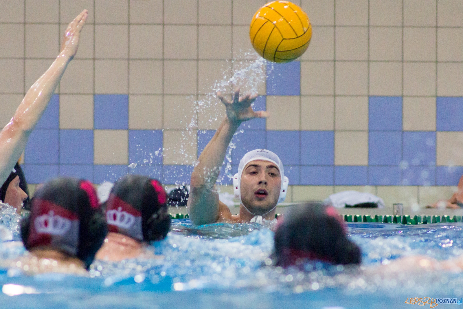 KS Waterpolo Poznań - Arkonia Szczecin Foto: Ewelina Jaśkowiak KS Waterpolo Poznań - Arkonia Szczecin Foto: Ewelina Jaśkowiak