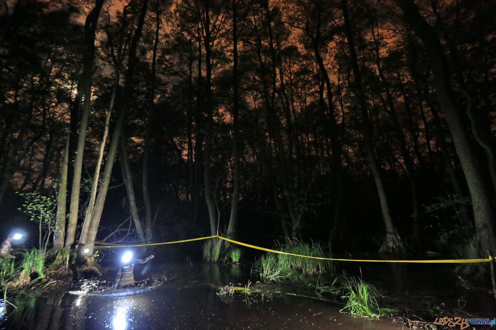 Nocny Runmaggedon (9) Foto: Igor Kohutnicki ADHD Foto Nocny Runmaggedon (9) Foto: Igor Kohutnicki ADHD Foto