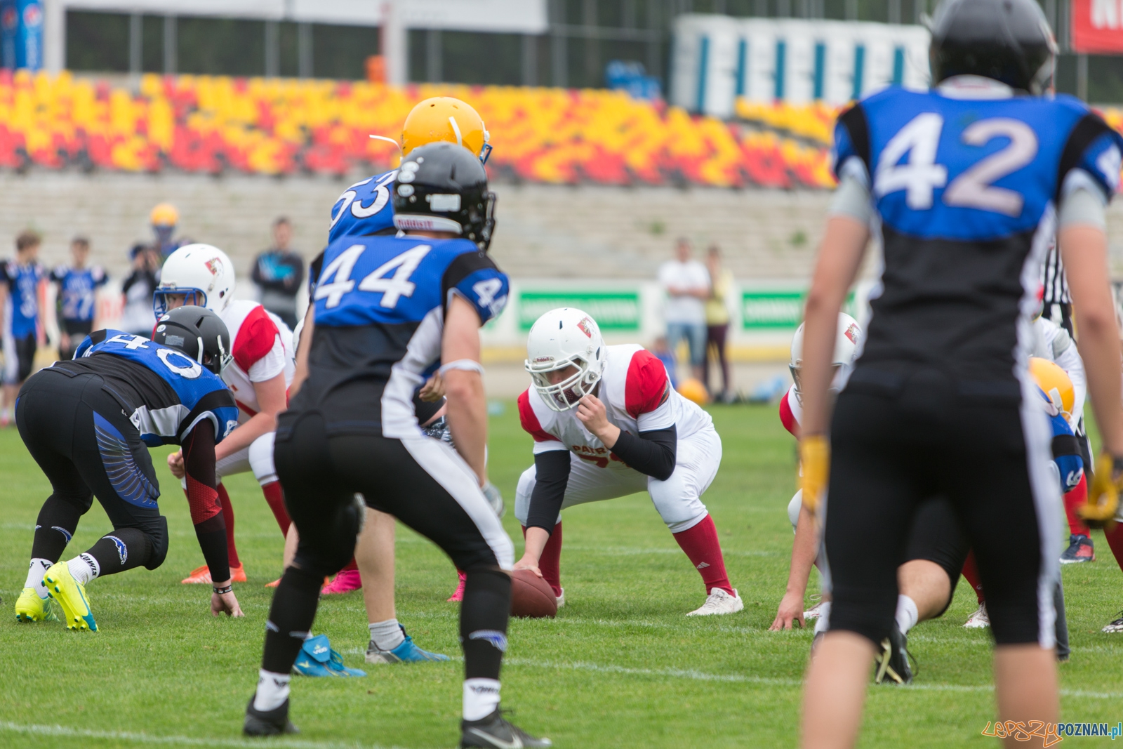 Patrioci Poznań - Stalowe Sowy Foto: lepszyPOZNAN.pl / Piotr Rychter Patrioci Poznań - Stalowe Sowy Foto: lepszyPOZNAN.pl / Piotr Rychter