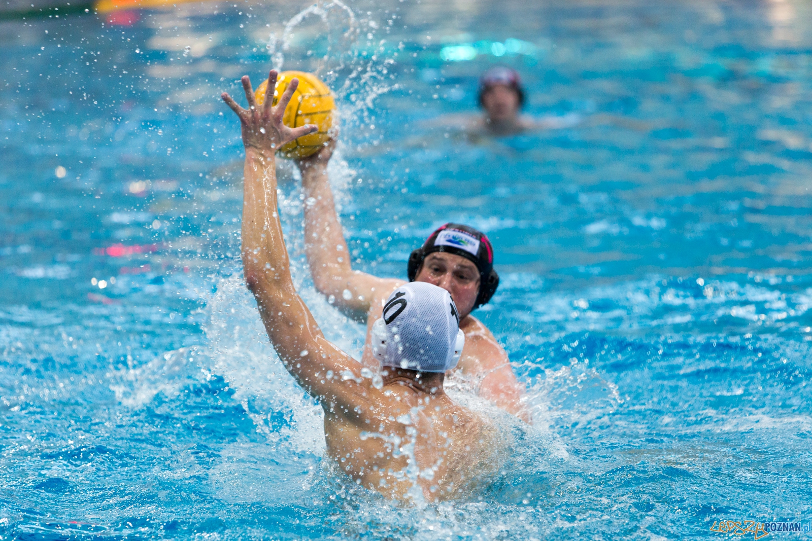 KS Waterpolo Poznań - Arkonia Szczecin Foto: lepszyPOZNAN.pl / Piotr Rychter KS Waterpolo Poznań - Arkonia Szczecin Foto: lepszyPOZNAN.pl / Piotr Rychter