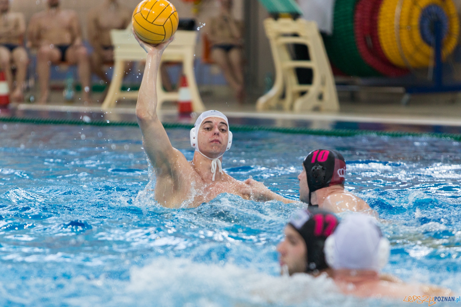KS Waterpolo Poznań - Arkonia Szczecin Foto: lepszyPOZNAN.pl / Piotr Rychter KS Waterpolo Poznań - Arkonia Szczecin Foto: lepszyPOZNAN.pl / Piotr Rychter