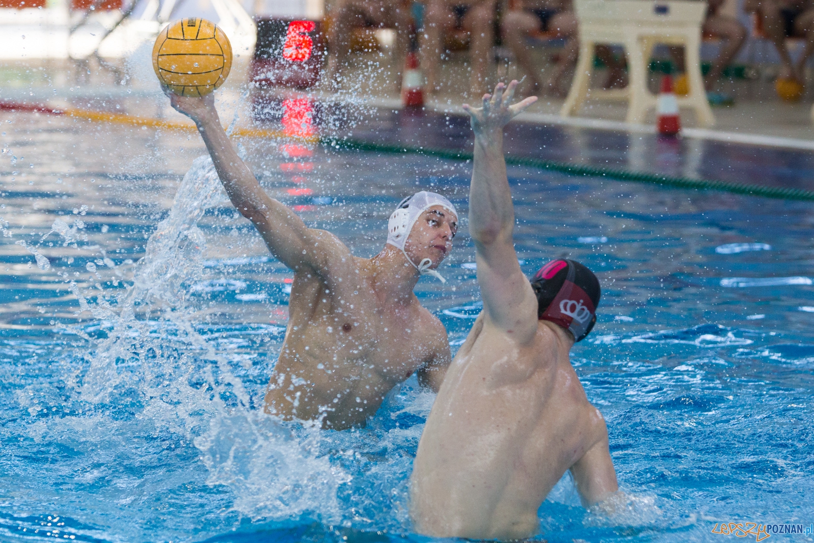 KS Waterpolo Poznań - Arkonia Szczecin Foto: lepszyPOZNAN.pl / Piotr Rychter KS Waterpolo Poznań - Arkonia Szczecin Foto: lepszyPOZNAN.pl / Piotr Rychter