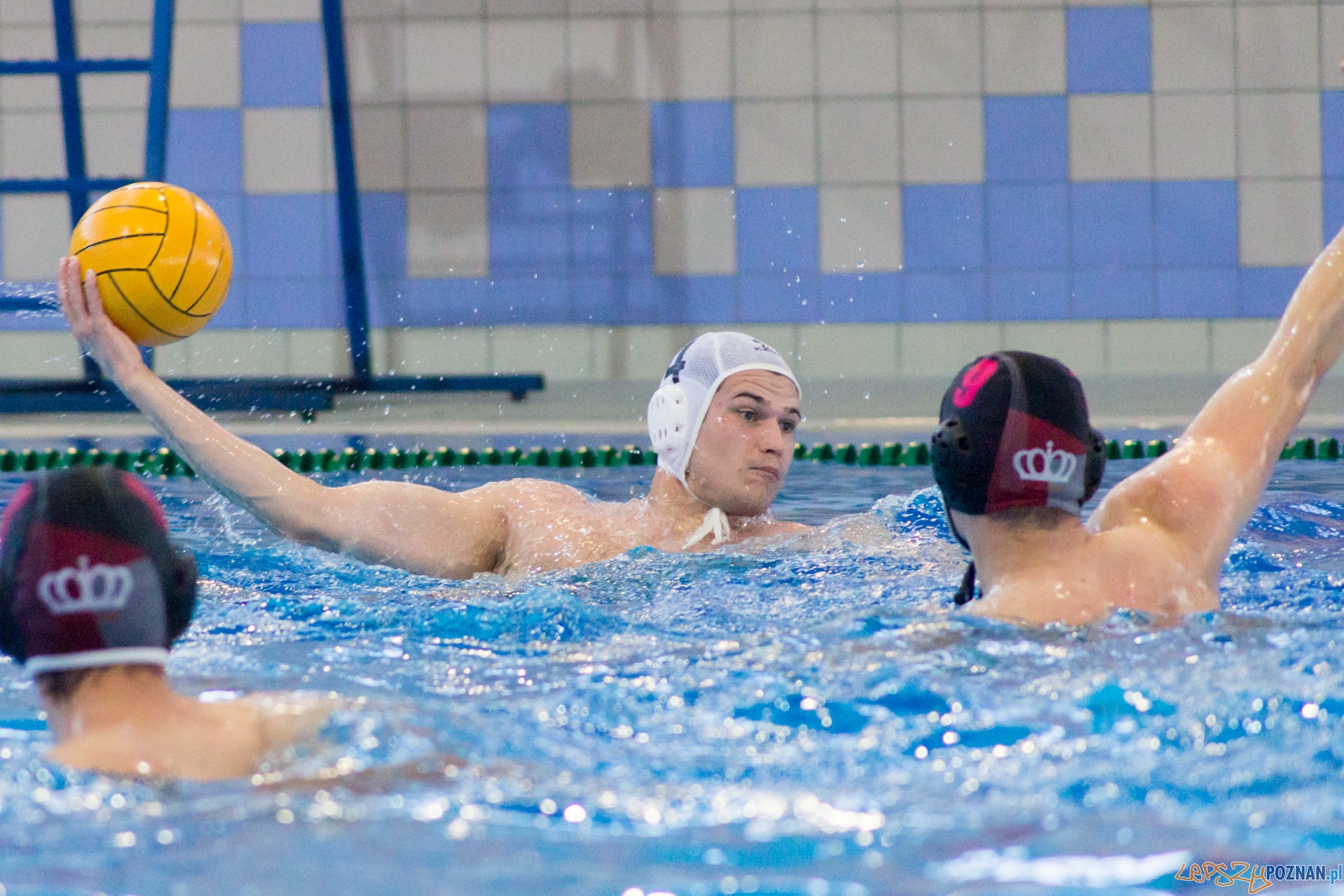 KS Waterpolo Poznań - Arkonia Szczecin Foto: Ewelina Jaśkowiak KS Waterpolo Poznań - Arkonia Szczecin Foto: Ewelina Jaśkowiak