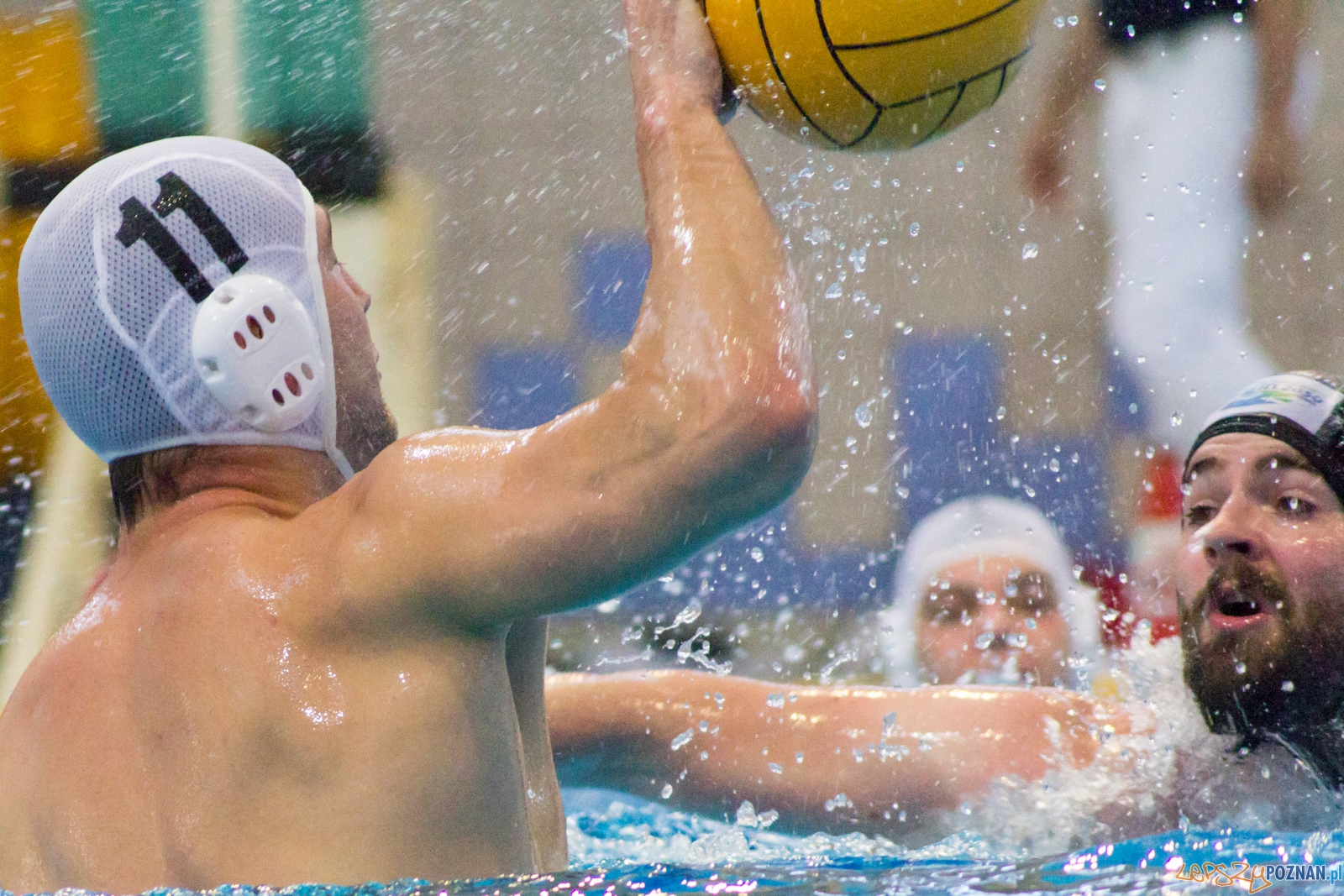 KS Waterpolo Poznań - Arkonia Szczecin Foto: Ewelina Jaśkowiak KS Waterpolo Poznań - Arkonia Szczecin Foto: Ewelina Jaśkowiak