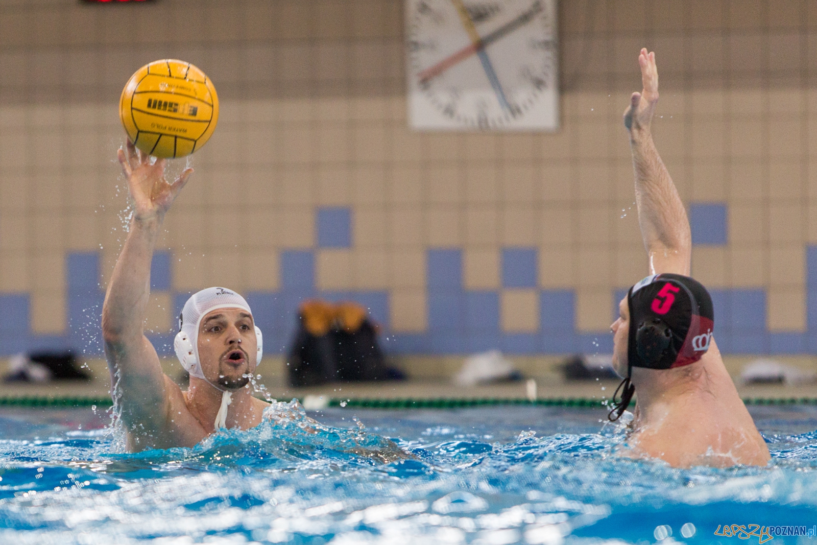 KS Waterpolo Poznań - Arkonia Szczecin Foto: lepszyPOZNAN.pl / Piotr Rychter KS Waterpolo Poznań - Arkonia Szczecin Foto: lepszyPOZNAN.pl / Piotr Rychter