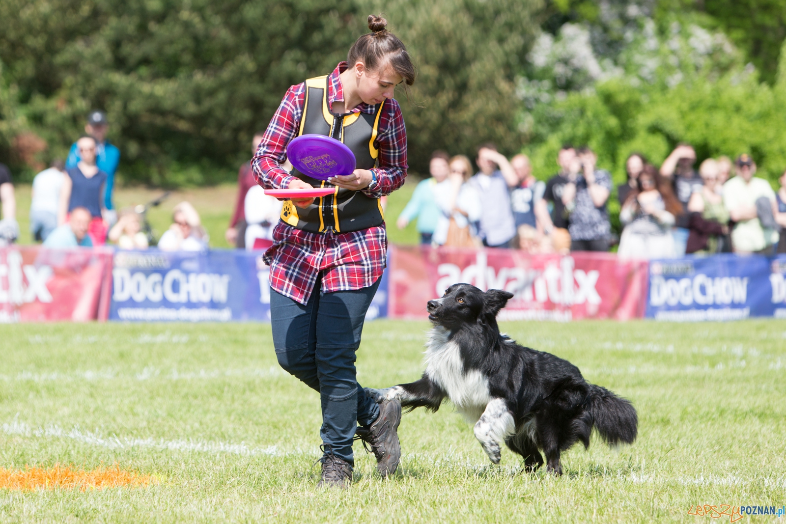 Latajace Psy Foto: lepszyPOZNAN.pl / Piotr Rychter Latajace Psy Foto: lepszyPOZNAN.pl / Piotr Rychter