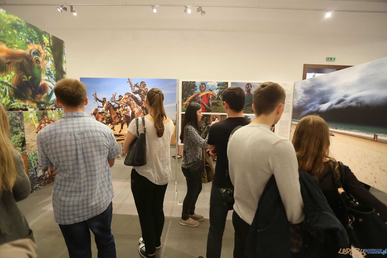 Zamkowa Noc Muzeów (13) Foto: Maciej Kaczyński / CK Zamek Zamkowa Noc Muzeów (13) Foto: Maciej Kaczyński / CK Zamek