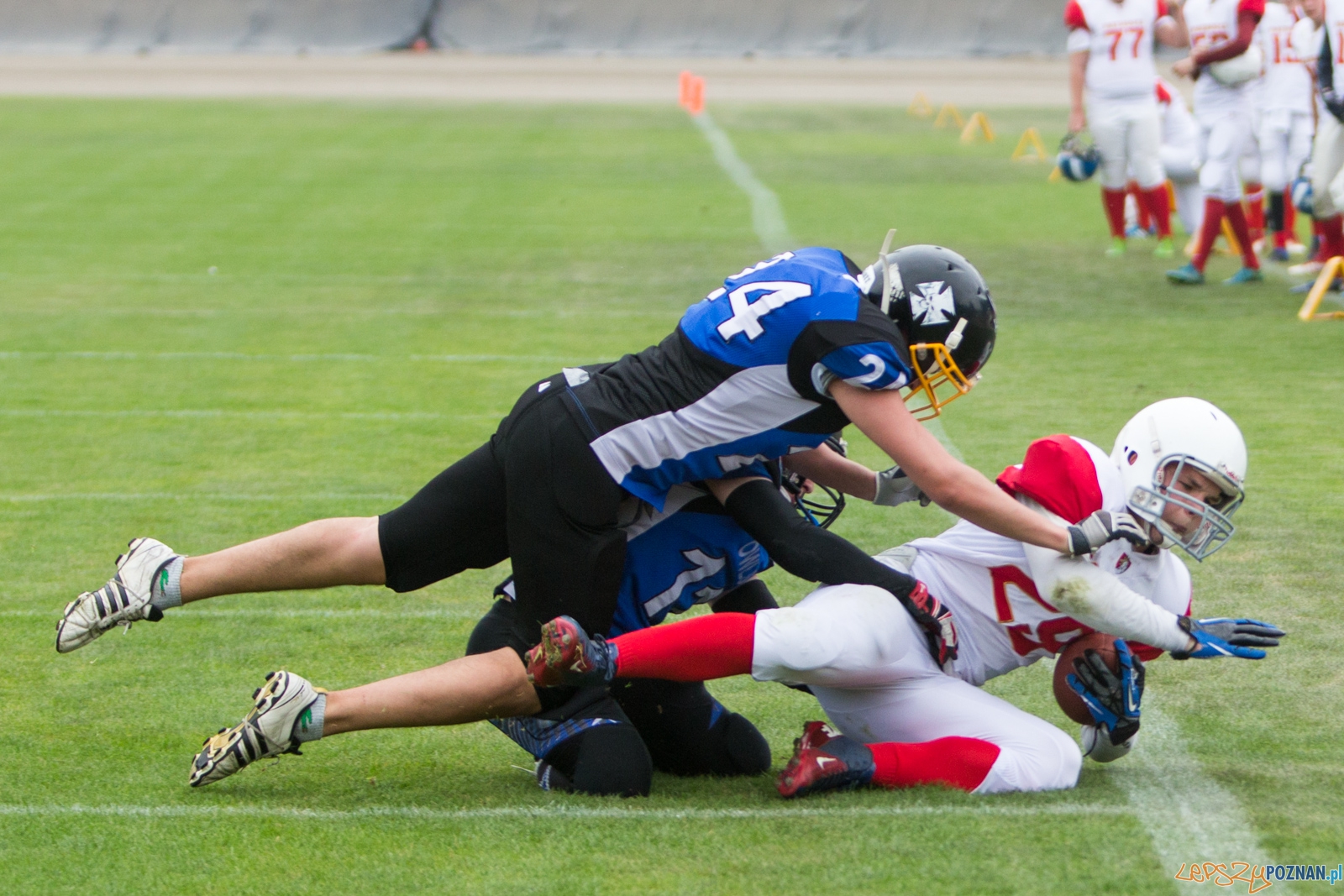 Patrioci Poznań - Stalowe Sowy Foto: lepszyPOZNAN.pl / Piotr Rychter Patrioci Poznań - Stalowe Sowy Foto: lepszyPOZNAN.pl / Piotr Rychter