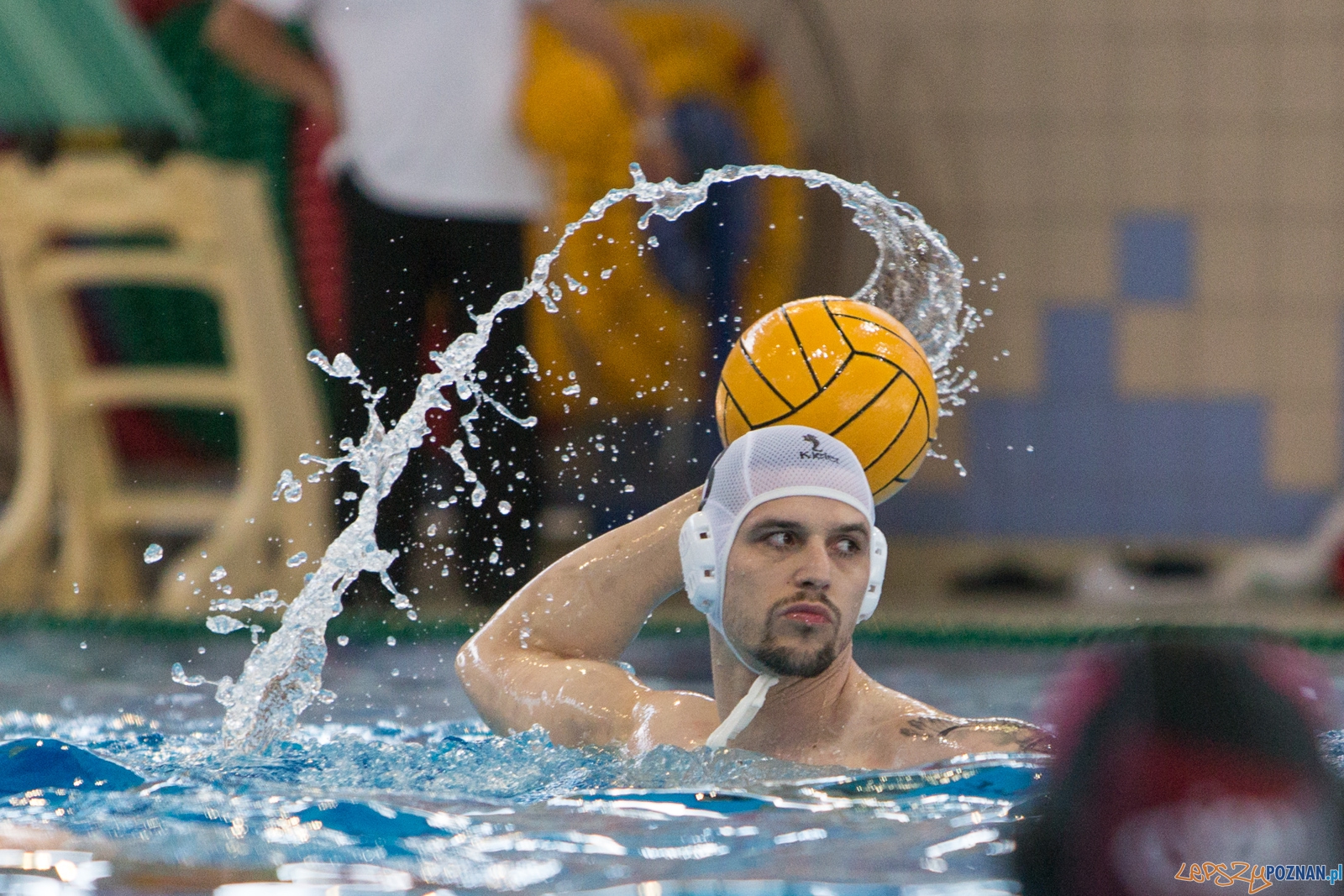 KS Waterpolo Poznań - Arkonia Szczecin Foto: lepszyPOZNAN.pl / Piotr Rychter KS Waterpolo Poznań - Arkonia Szczecin Foto: lepszyPOZNAN.pl / Piotr Rychter